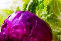 Cole Slaw