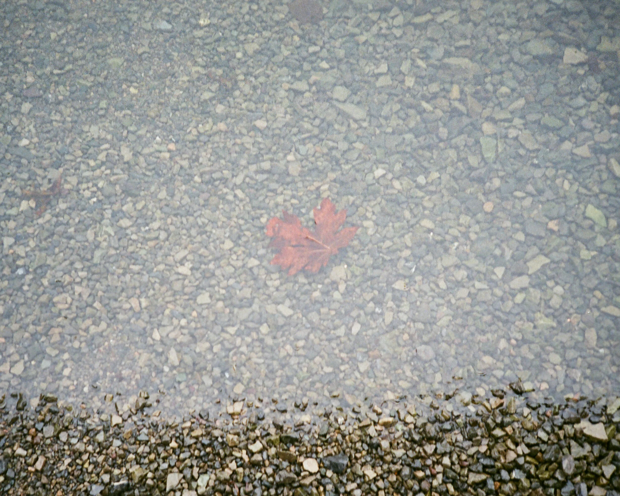 0018_17A.jpg