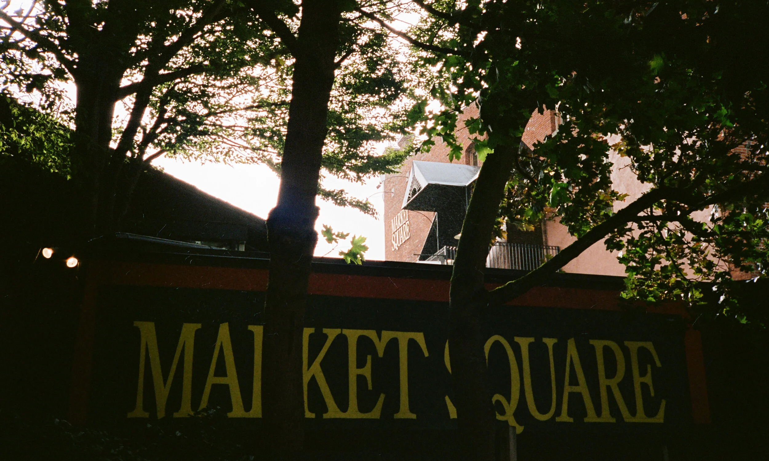 0036_1A.jpg