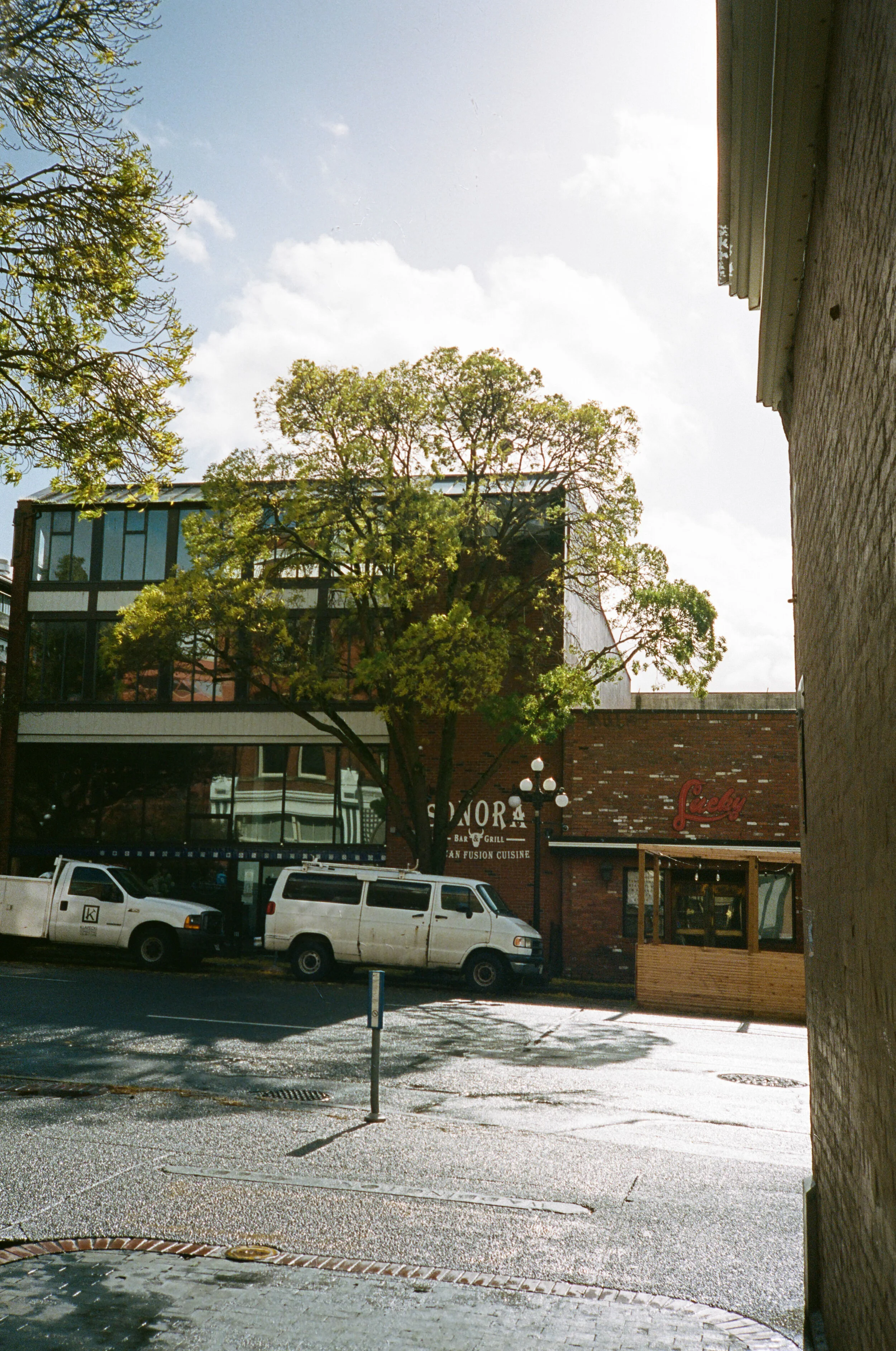 0031_6A.jpg