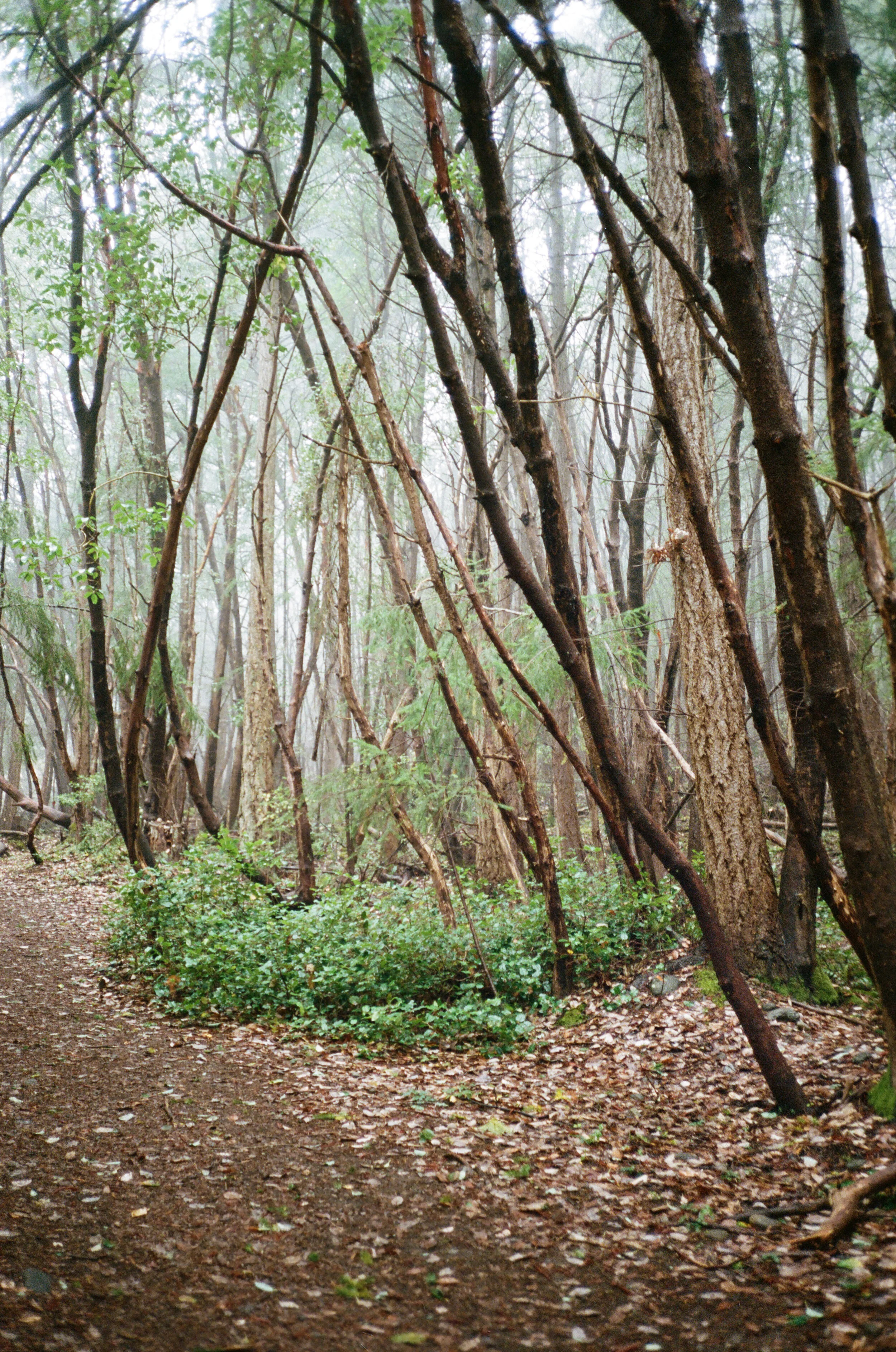 0017_20A.jpg