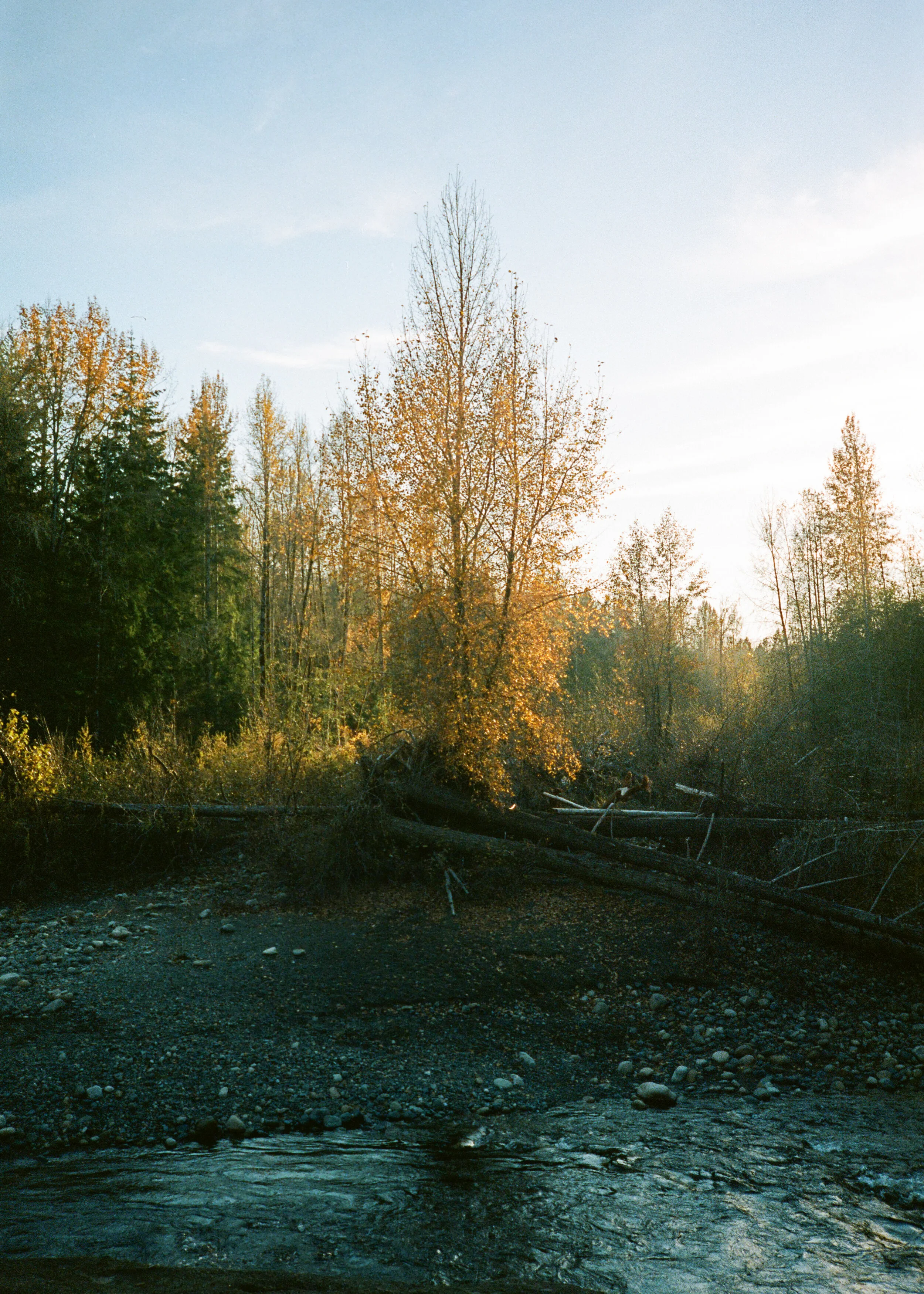 0010_27A.jpg