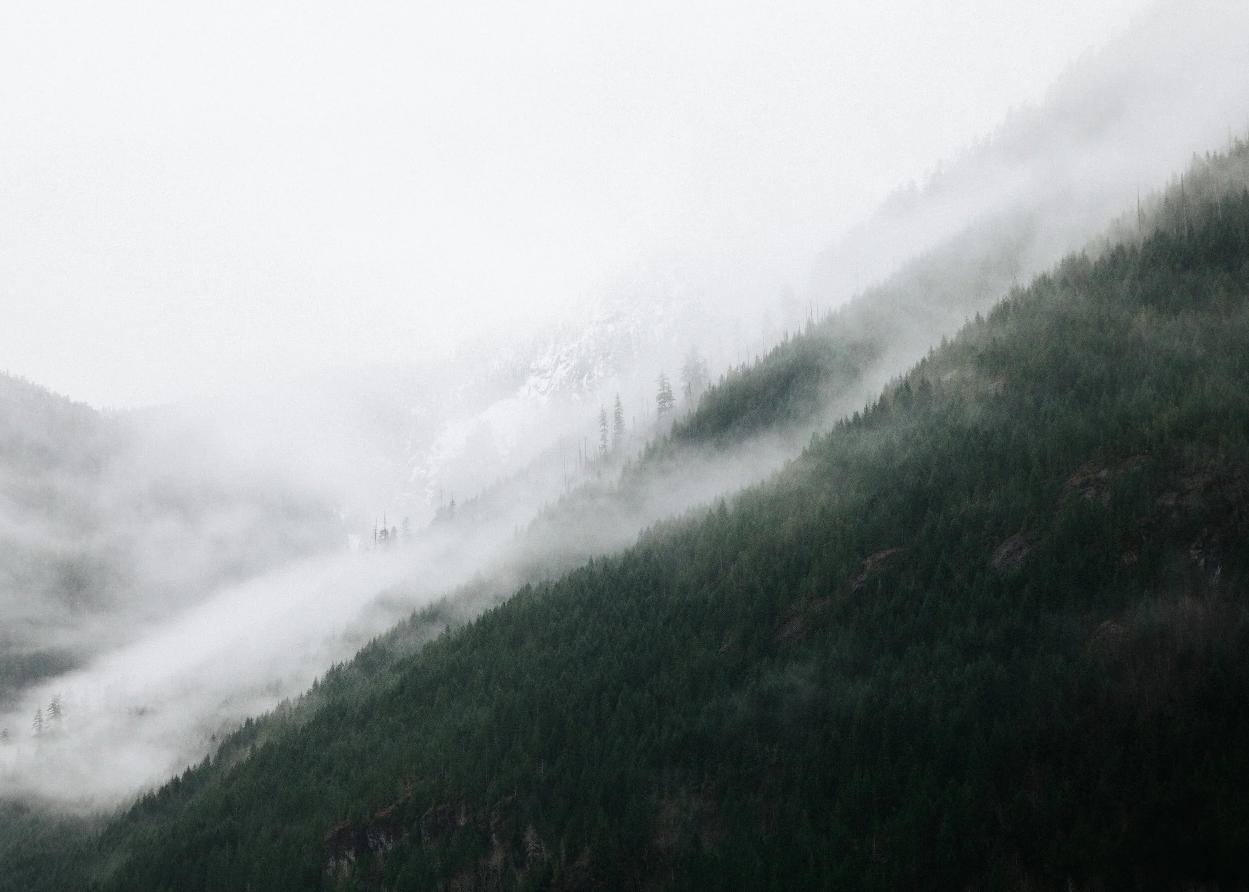 _MG_8152.jpg