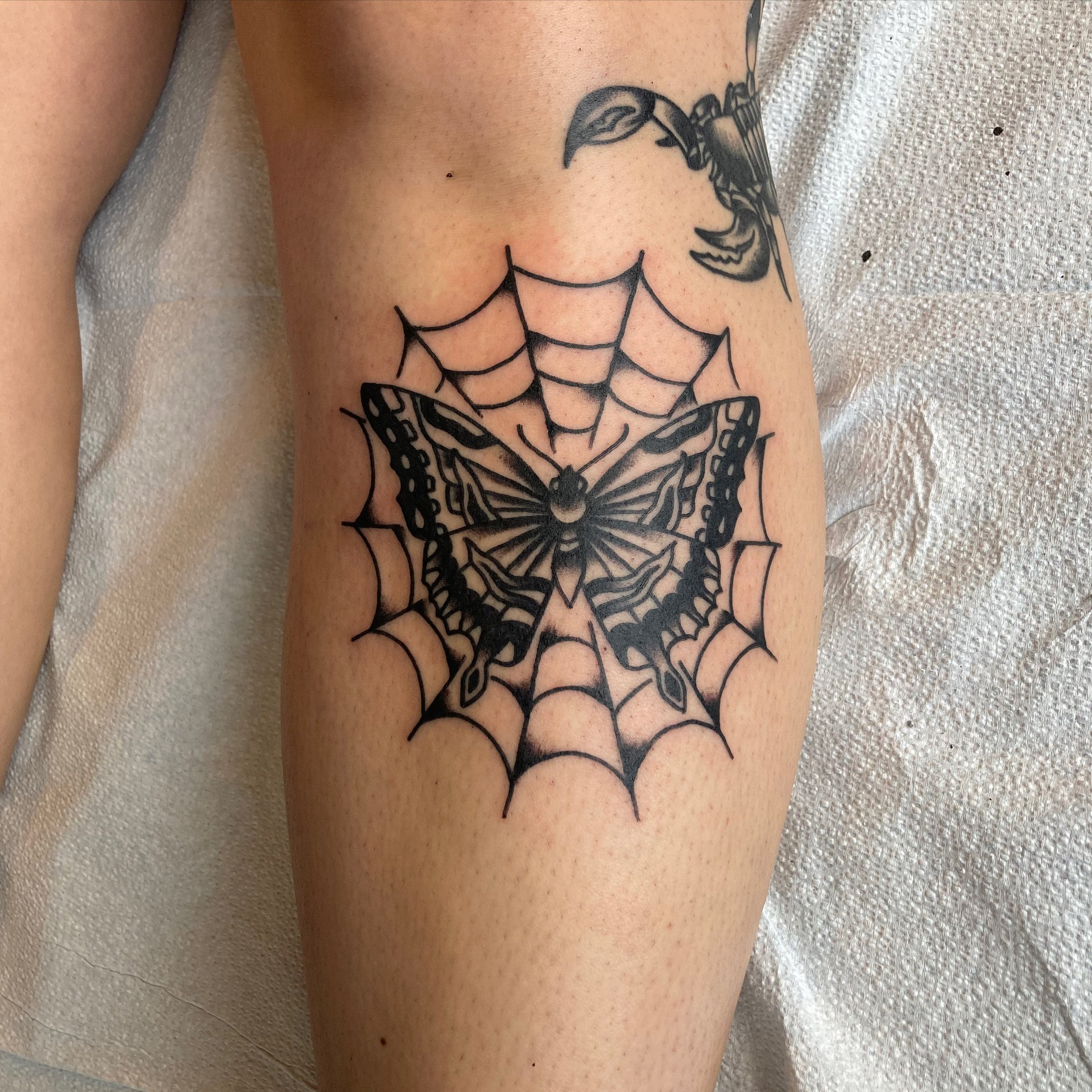 Butterfly &amp; web done by @sashatwoo at Obscura

#tattoo #tattoos #butterflytattoo #butterfly #web #webtattoo #traditionaltattoo #oldschooltattoo #ottawa #ottawaartist