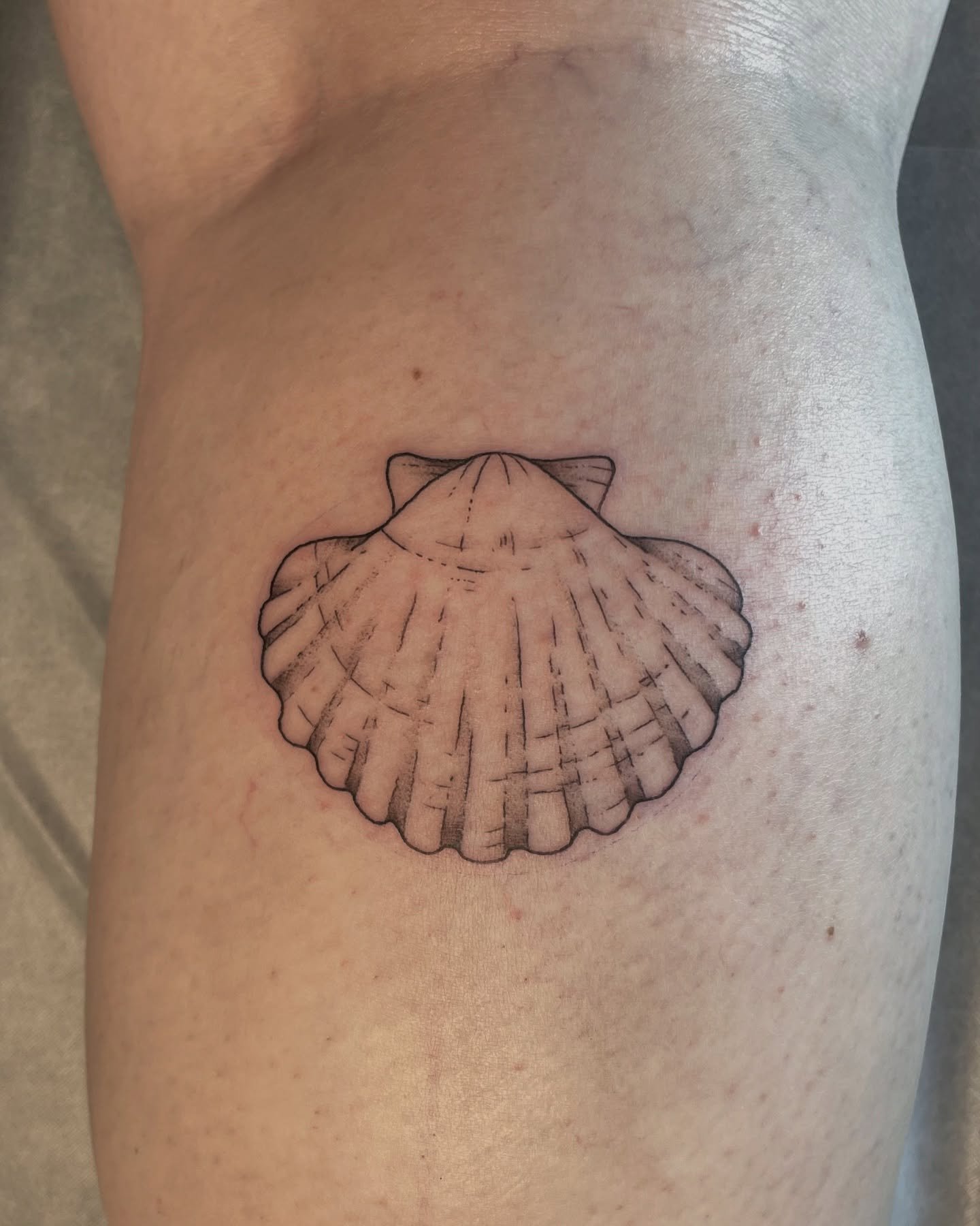 Shell design done on a beautiful Saturday afternoon 🐚
&bull;
My books are open for flash and custom designs. DM me for pricing and booking, or visit the @obscura.tattoo website!
&bull;
#ottawaartist #ottawatattoos #tattoos #femaleartist #ottawafemal