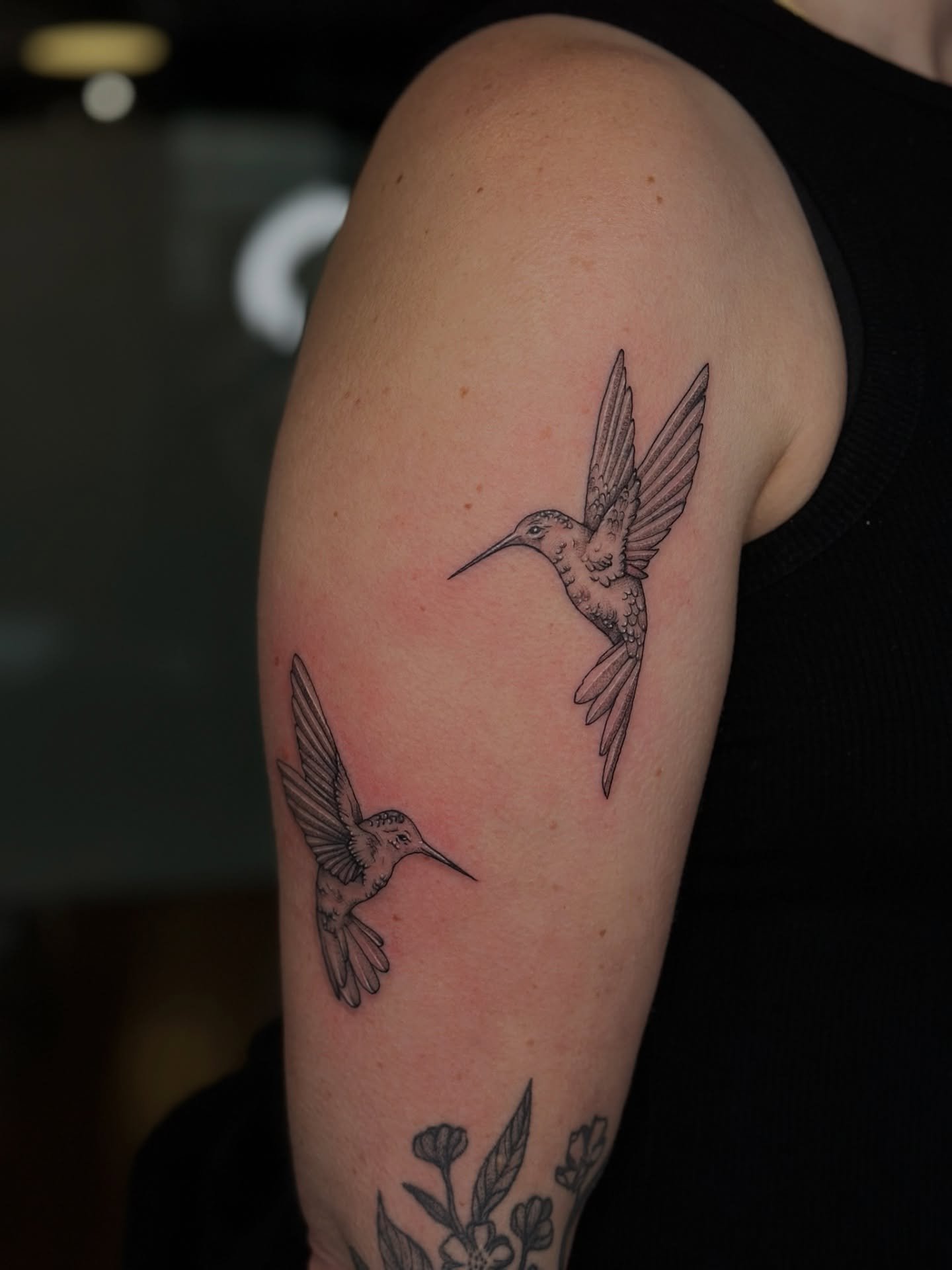 🪶Perched perfectly 🪶

Artist: @artbyrobs 
Studio: @obscura.tattoo

#blackworktattoo #ottawatattoos #ottawa #birdtattoos #birdtattoos #animaltattoo #armtattoo #illustrativetattoo #illistrativetattoos #blackandgreytattoo #hummingbird #hummingbirdtatt