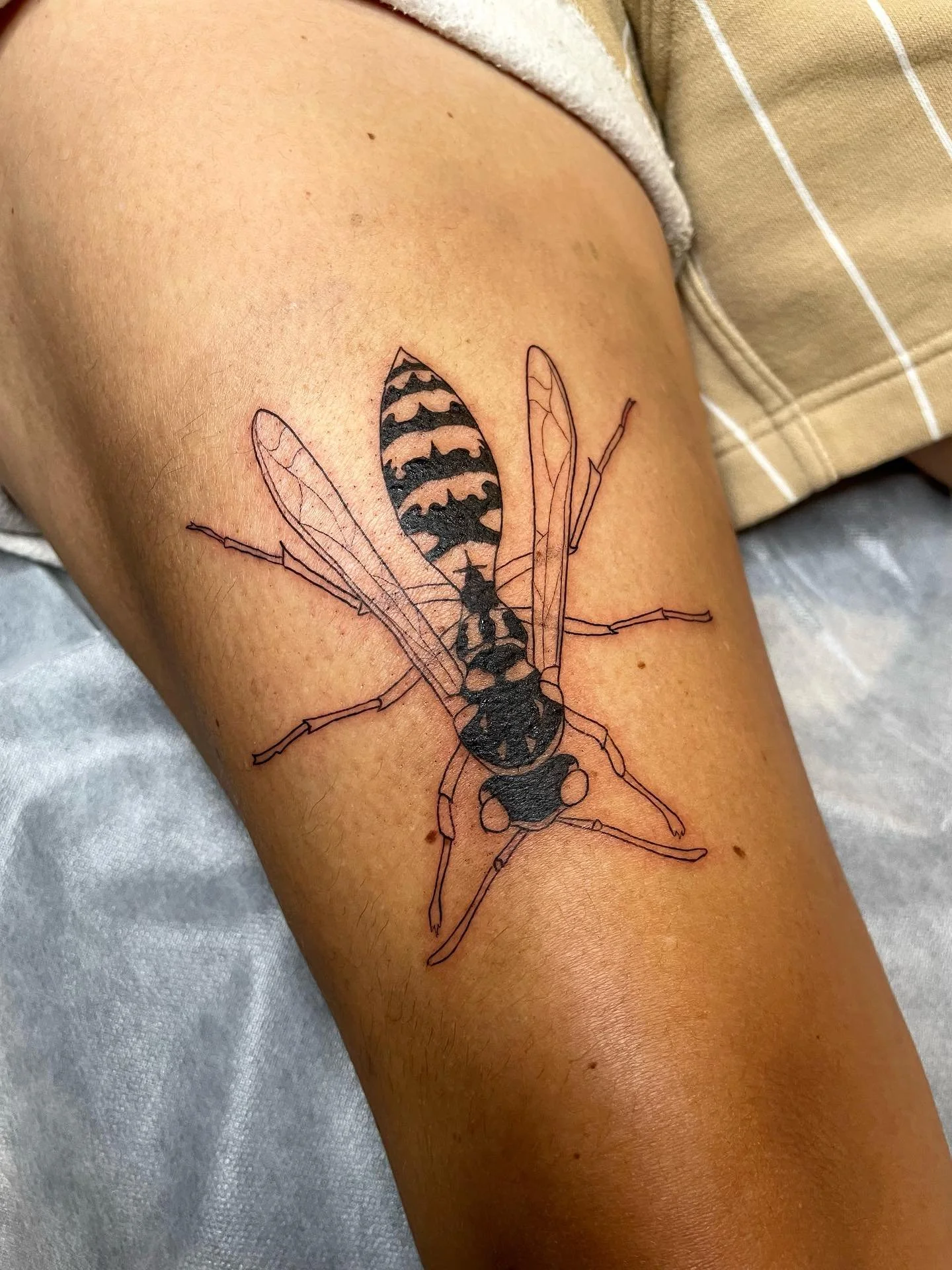 This huge wasp was from awhile ago but it’s still so cool! Thank you again! I love doing bugs 🐝🦟🐞🪰 
#ottawatattoo #wasptattoo #thightattoo #illustrativetattoo #lineworktattoo #blackandgreytattoo #tattoo #bugtattoo