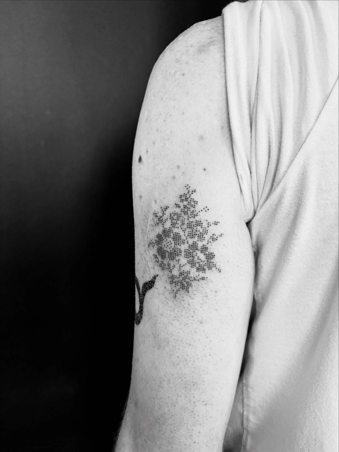 Some florals from my hand poke flash!
I’m booking Sept/Oct! Dm or email to book!
.
.
.
.
.
.
.
.
.
#tattoos #tattoo #tattooartist #tattooist #tattooart #ottawatattoos #ottawatattooartist #obscuratattoo #montrealtattoo #ottawaart #ottawatattooa