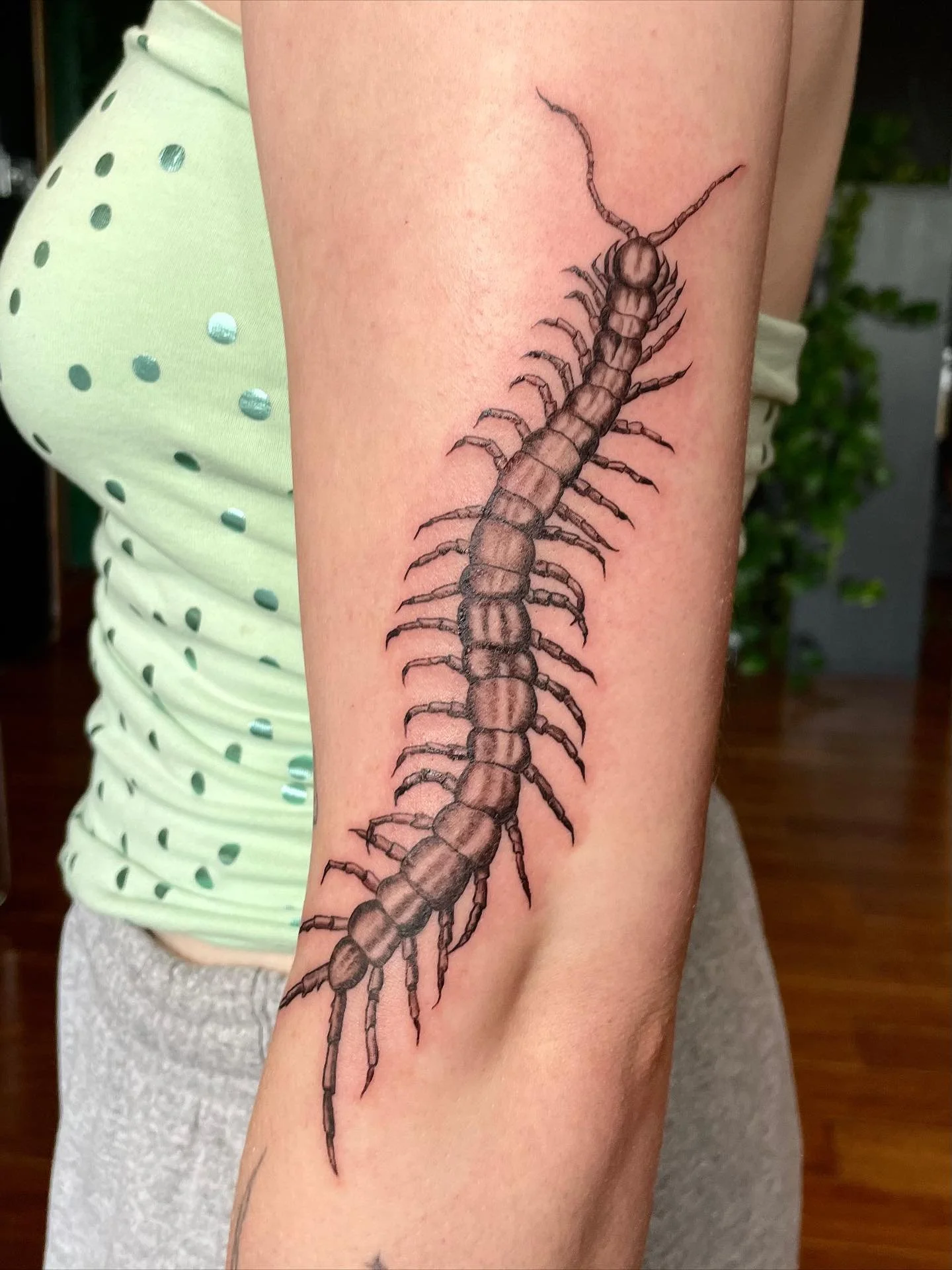 Centipede crawling up the arm!! So gross but so cool! Loved doing this project thank you🪱🦟🦗🕷️🪳
#centipedetattoo #illustrativetattoo #bugtattoo #blacktattoo #ottawatattoo #juniortattooartist #centipede #spookytattoo #insecttattoo #blackandgreyta