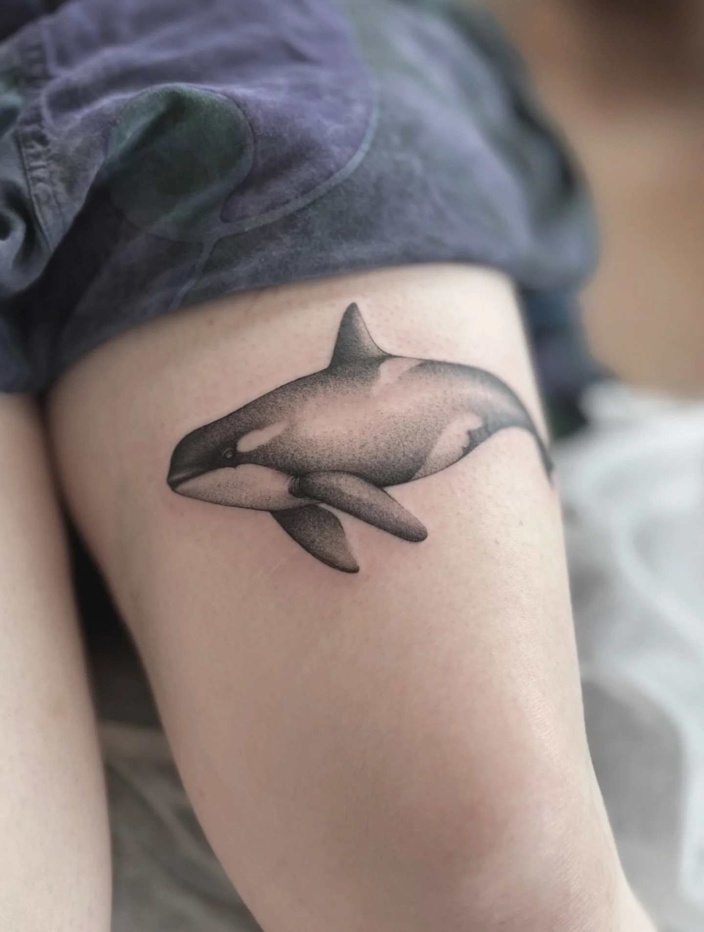 Beautiful whale 🐳✨
.
.
.
Artist: @mariah.landers 
Studio: @obscura.tattoo 
.
.
.
#art #artist #ottawaartist #ottawa #ottawau #obscura #obscuratattoo #whale #whaletattoo #pointilismtattoo #pointilism