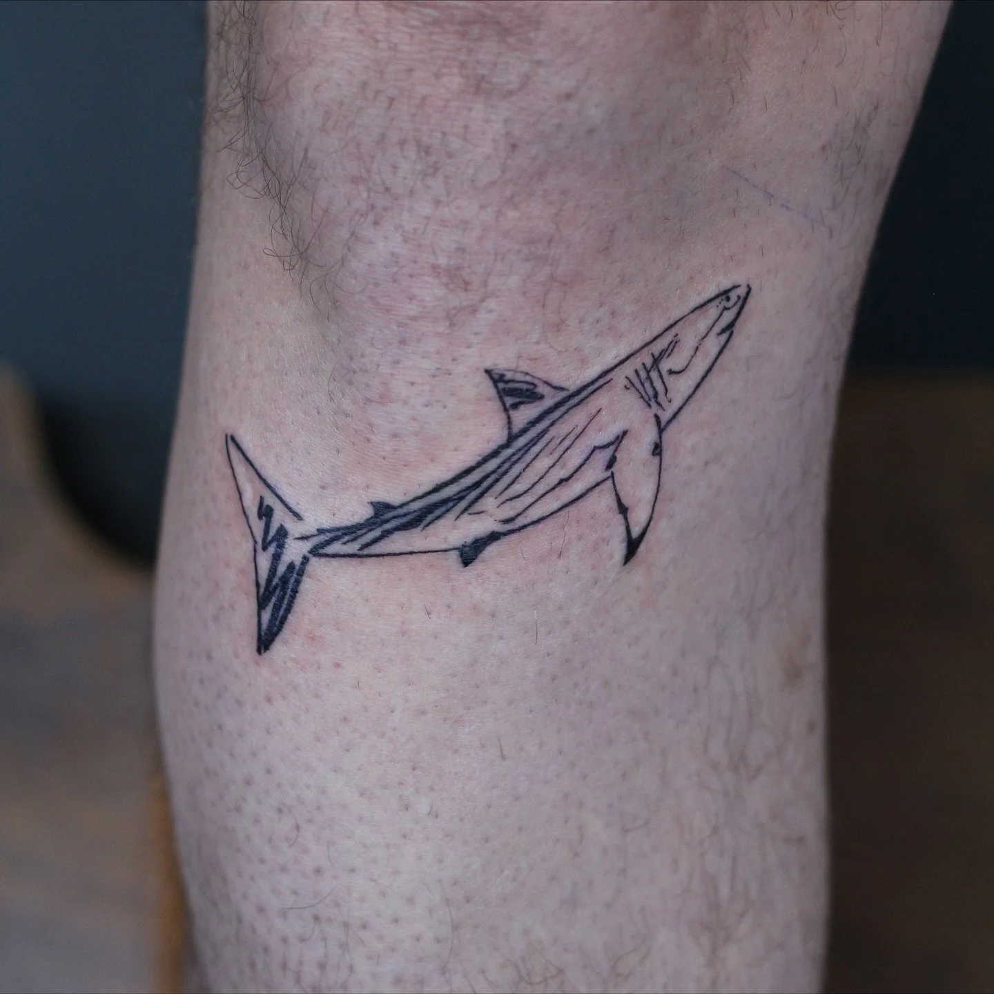 Yayyyyy to more sharks!!
I was so happy to see this baby go and to finally see it on skin! I really enjoy doing this style and hope to vontinue doing more~ Thank you so much for the trust and can’t wait yo see how it heals! 🦈
Done at @obscura