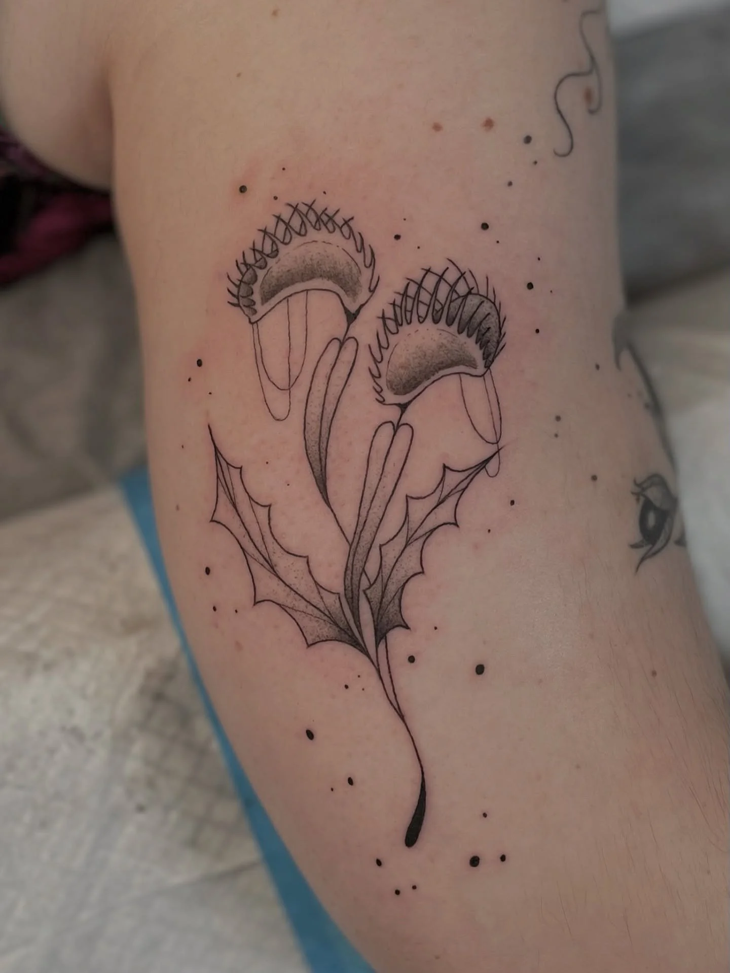 Venus Fly Trap ! 🌱
.
.
.
Artist @martini.tattoos 
Studio @obscura.tattoo 
.
.
.
#venusflytraptattoo #venusflytrap #tattoos #ottawatattoos #ottawa #obscura #obscuratattoo #ottawau #fineline