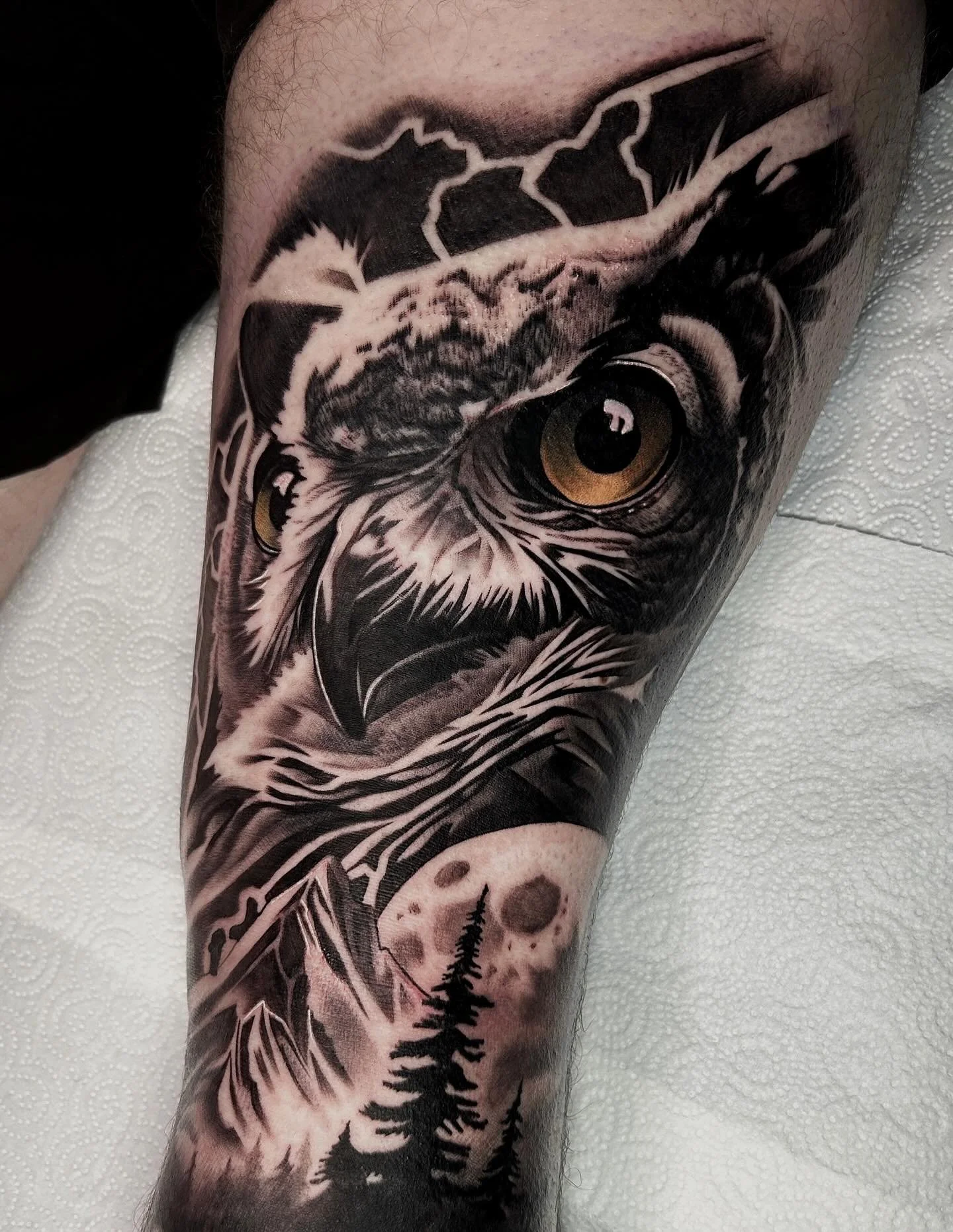 I got to add an owl to a leg sleeve I started one year into my career, continuing on from a wolf we did on the lower leg! It was really cool to see my work from one year in vs 3 right next to each other! 🦉🐺 swipe to the end to see how it healed aft