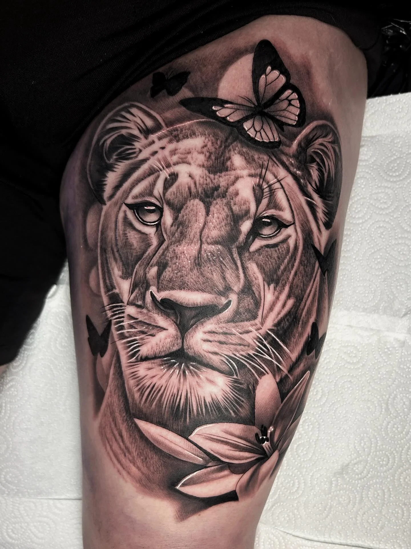 Lioness 🦁 👑 
•
I love tattooing big cats and would love to do more! For BOOKINGS, message me or email at harveycummings17@outlook.com 
•
@obscura.tattoo 
@kwadron 
@anarchy_tattoo_supplies 
•
#lioness #lionesstattoo #liontattoo #lion