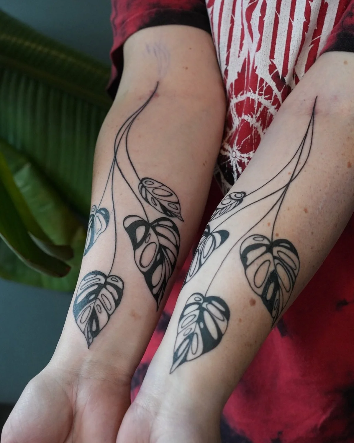 Symmetrical Monsteras! 
.
.
.
Artist: @mariah.landers 
Studio: @obscura.tattoo 
.
.
.
#ottawatattoo #tattooideas #ottawagatineautattooexpo #obscuratattoo 
#tattoo