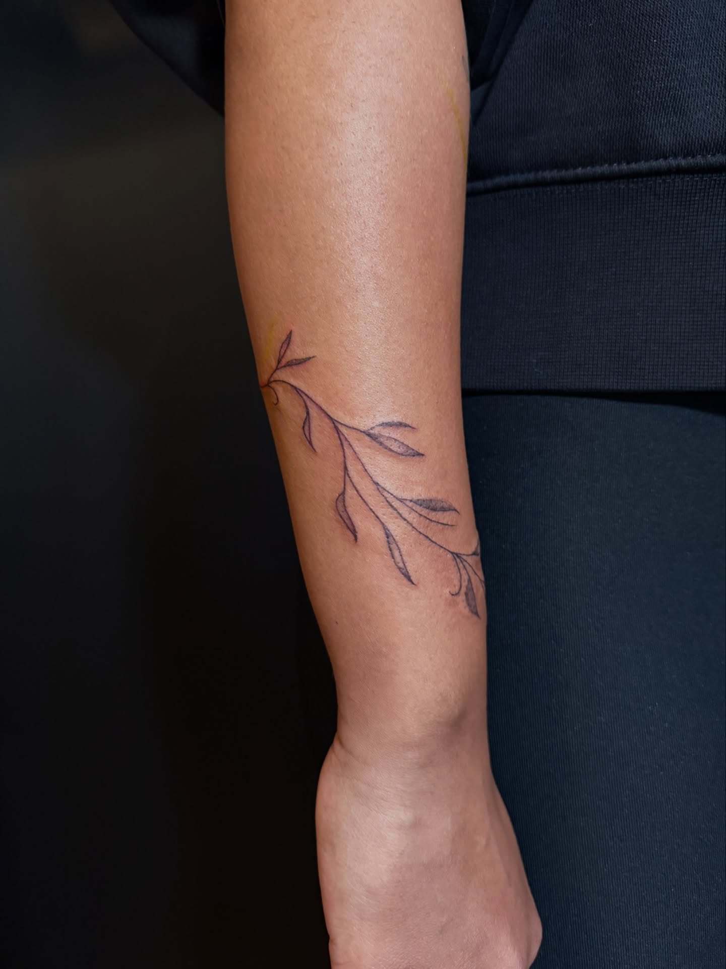 Simple yet delicate😌
.
.
.
Artist: @darienwrona.tattoo 
Studio: @obscura.tattoo 
.
.
.
#floral #delicate #ottawatattoo #obscuratattoo