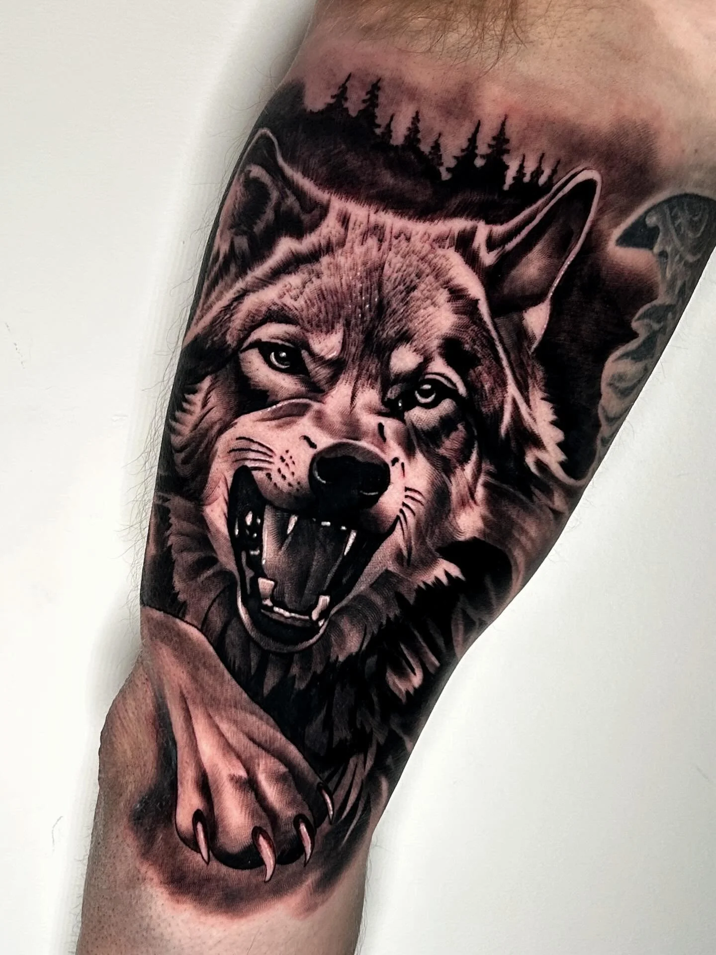 Inner bicep Wolf added to Cory&rsquo;s ongoing arm sleeve, sat amazingly for a tough session in a tough spot 🙏🏻

Offering discounted sessions on my own cistom designs throughout the winter period, reach out through DM or email! All links on my page