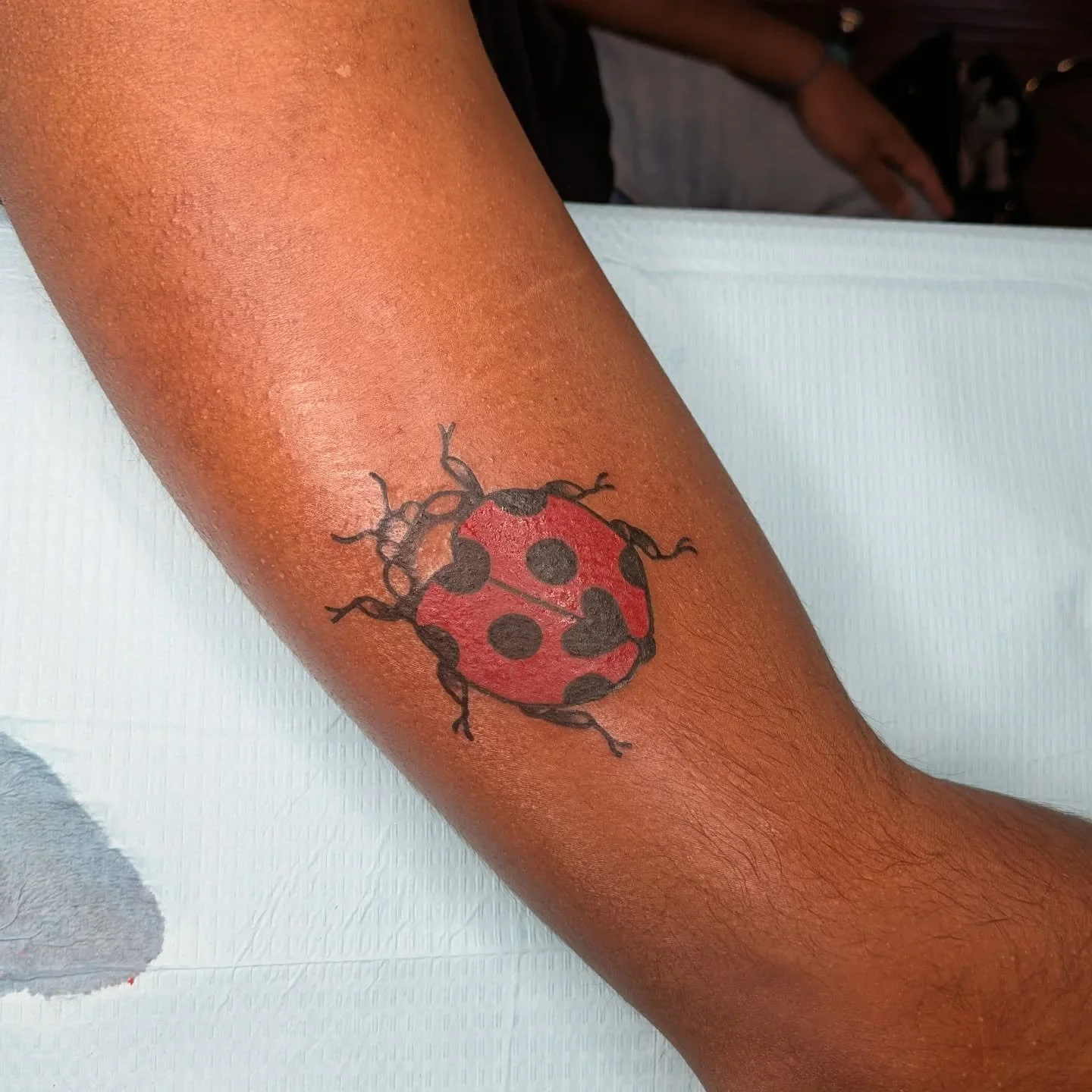 This was so fun and satisfying to see come together!

Turns out I might like bugs??? 🐛🦋 I'm wondering if I should do some flash of other critters 👽