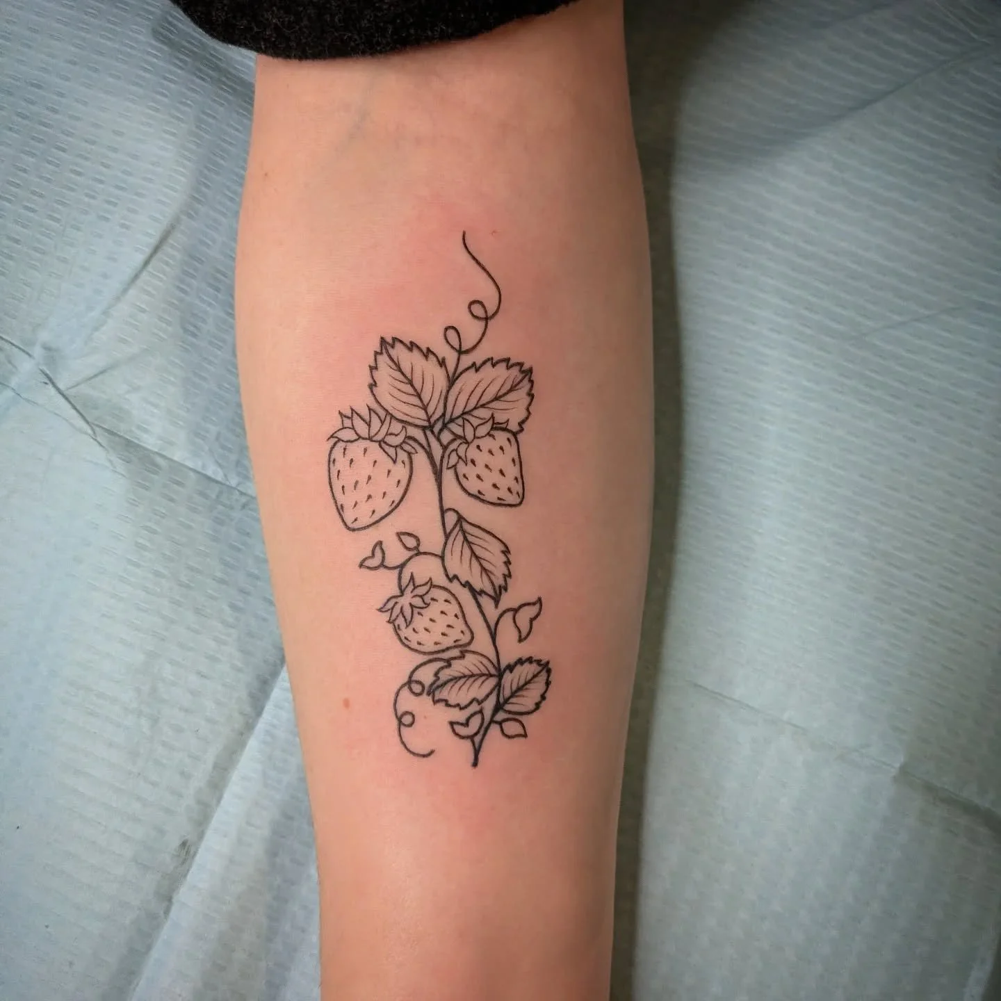 More tattoos, more strawberries 🍓🍓 Despite my insistence that everything should have colour, this one ended up being lines-only out of my own volition 😮 

DM to book!