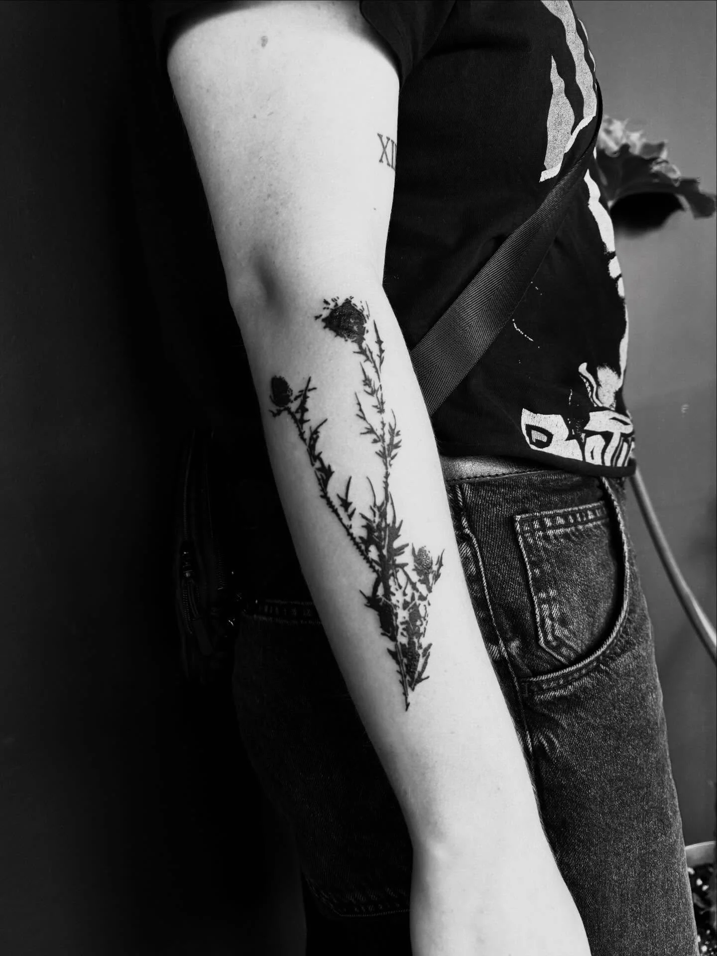 Always down to do custom florals/plants for you guys!

I&rsquo;m booking Jan/Feb! Dm or email to book!
.
.
.
.
.
.
.
.
#tattoos #tattooartist #ottawatattoos #ottawatattooartist #thistletattoo