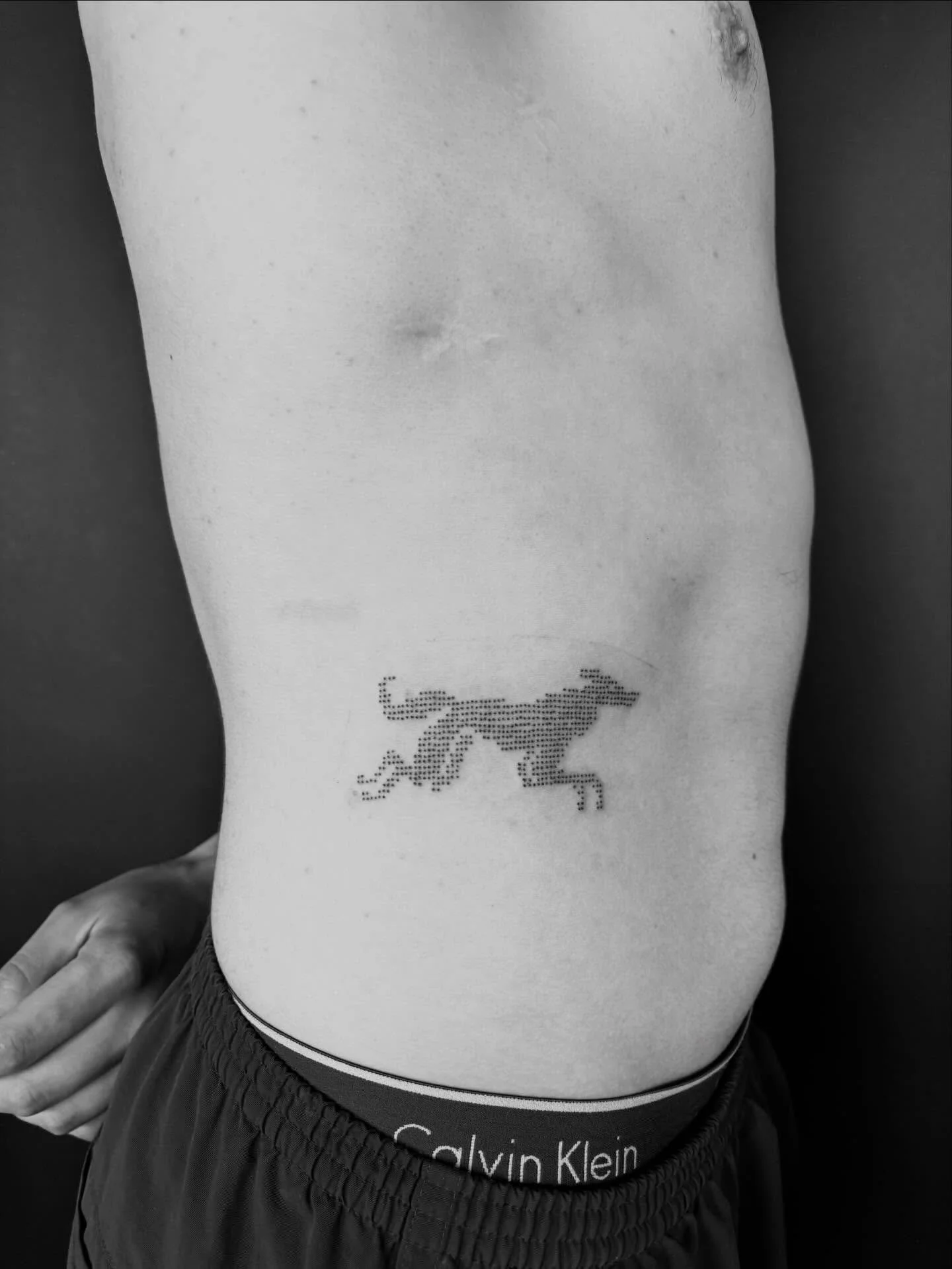 Little greyhound from my cross stitch flash! Should I drop some more soon or what? 👀

I&rsquo;m booking Feb/Mar! Dm or email to book!
.
.
.
.
.
.
.
.
#tattoos #tattooartist #ottawatattoos #ottawatattooartist #handpoketattoo