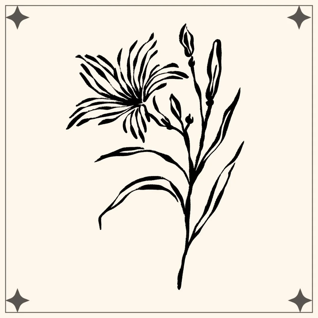 Another fun floral inky piece! It can go on your tibs arms legs or bag~ You pick, I&rsquo;ll ink 😈🌷

Dm to Book 

#flowertattoo #abstracttattoo #blackworktattoos #ottawatattoo #illustrativetattoo