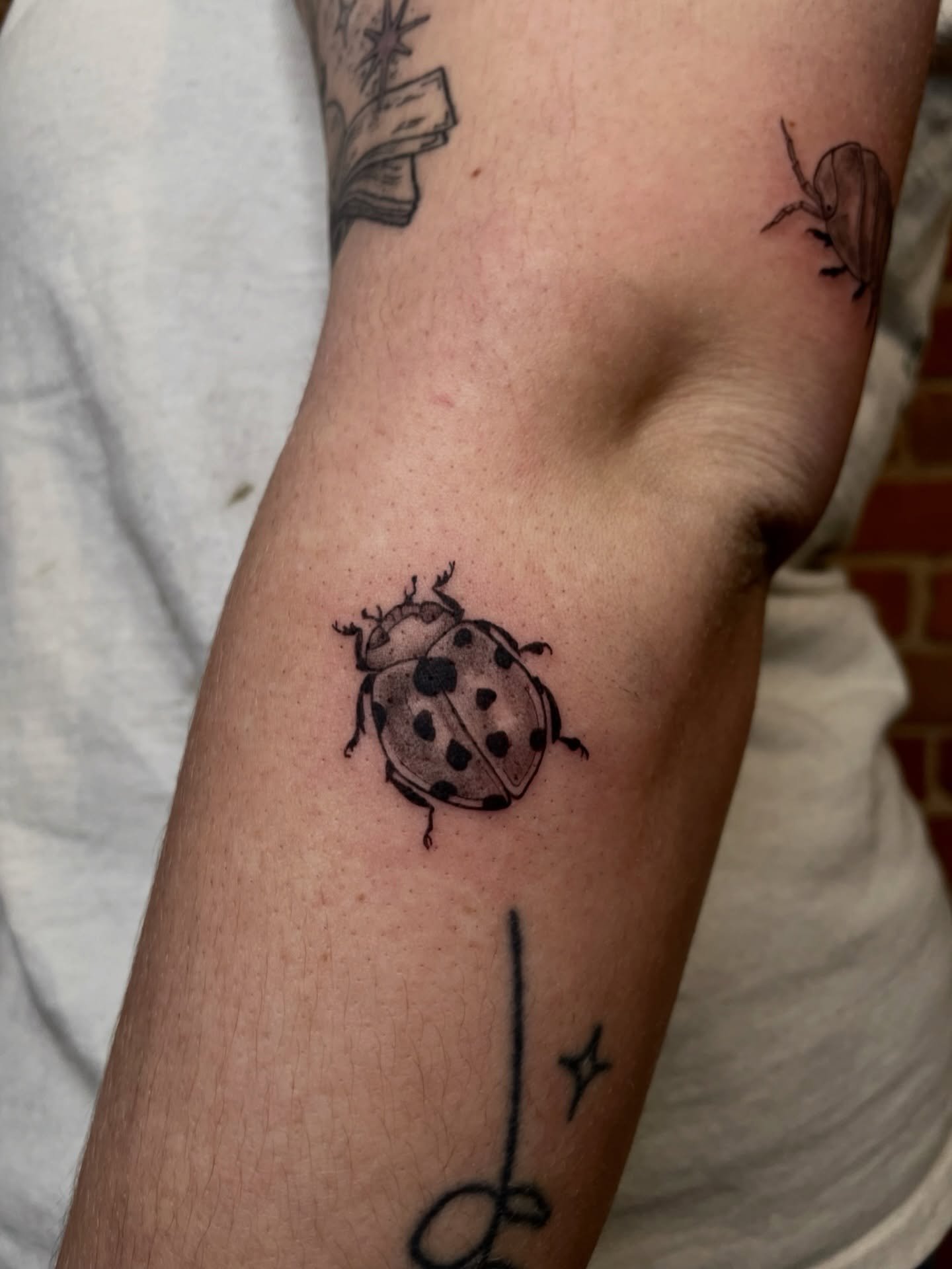 Cute critter friends, the perfect tattoo additions 🐞
.
.
.
Artist: @tattoosbyabbeysmith 
Studio: @obscura.tattoo 
.
.
.
#ottawaartist #ottawatattoo #obscuratattoo #ladybugtattoo #bugtattoo