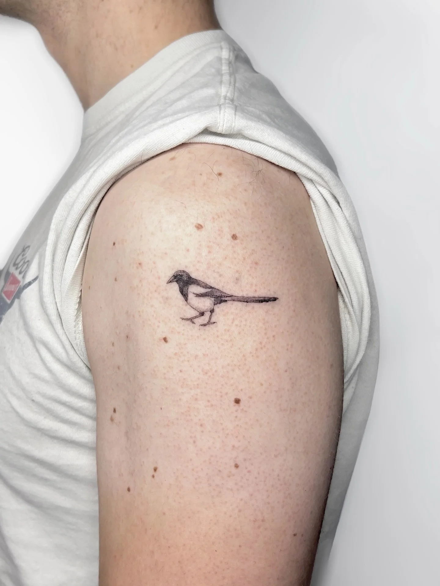 Delicate companions by @airo.tattoo 
.
.
.
Artist: @airo.tattoo 
Studio: @obscura.tattoo 
.
.
.
#ottawaartist #ottawatattoo #obscuratattoo #birdtattoo #finelinerealism