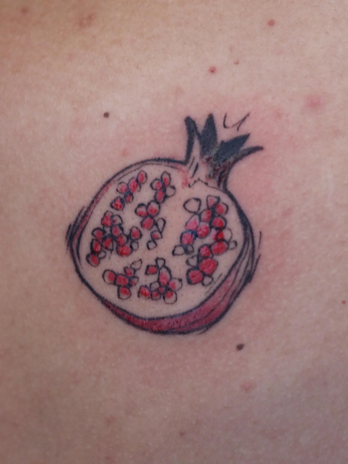 I can&rsquo;t get over the styleeee! Thank you for the trust! 
Slide to see the other full back! 

Done at @obscura.tattoo 
Supplied by @anarchy_tattoo_supplies 

#pomegranatetattoo #tattoo #backtattoo #illustrativetattoo #tattoos