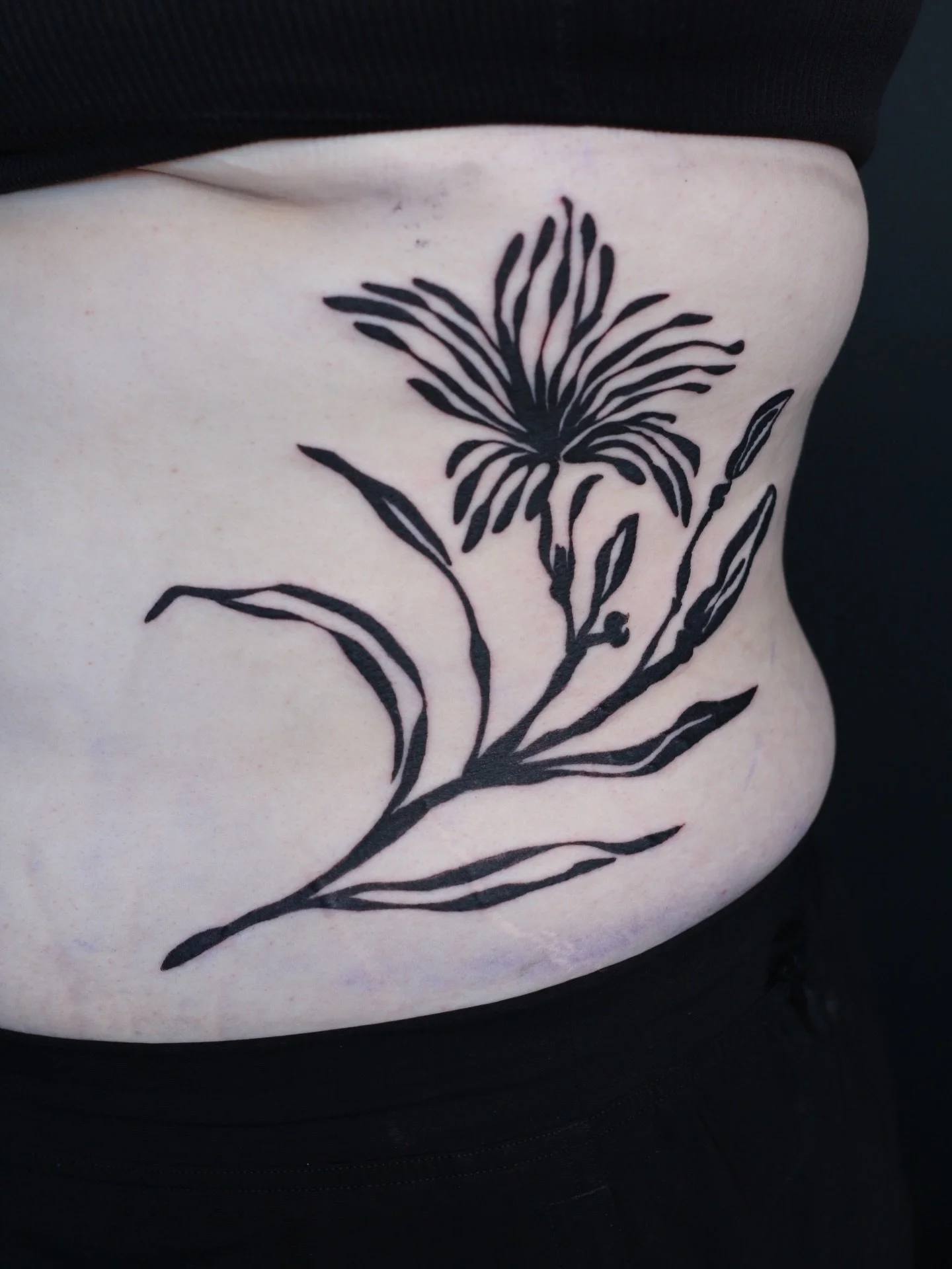 This was such a fun piece to see come to life! Thank you for the trust and bless the bactine gods lol Let&rsquo;s do more!

Done at @obscura.tattoo 
Supplied by @anarchy_tattoo_supplies 

#blackworktattoos #floraltattoo #illustrativetattoo #ribtattoo