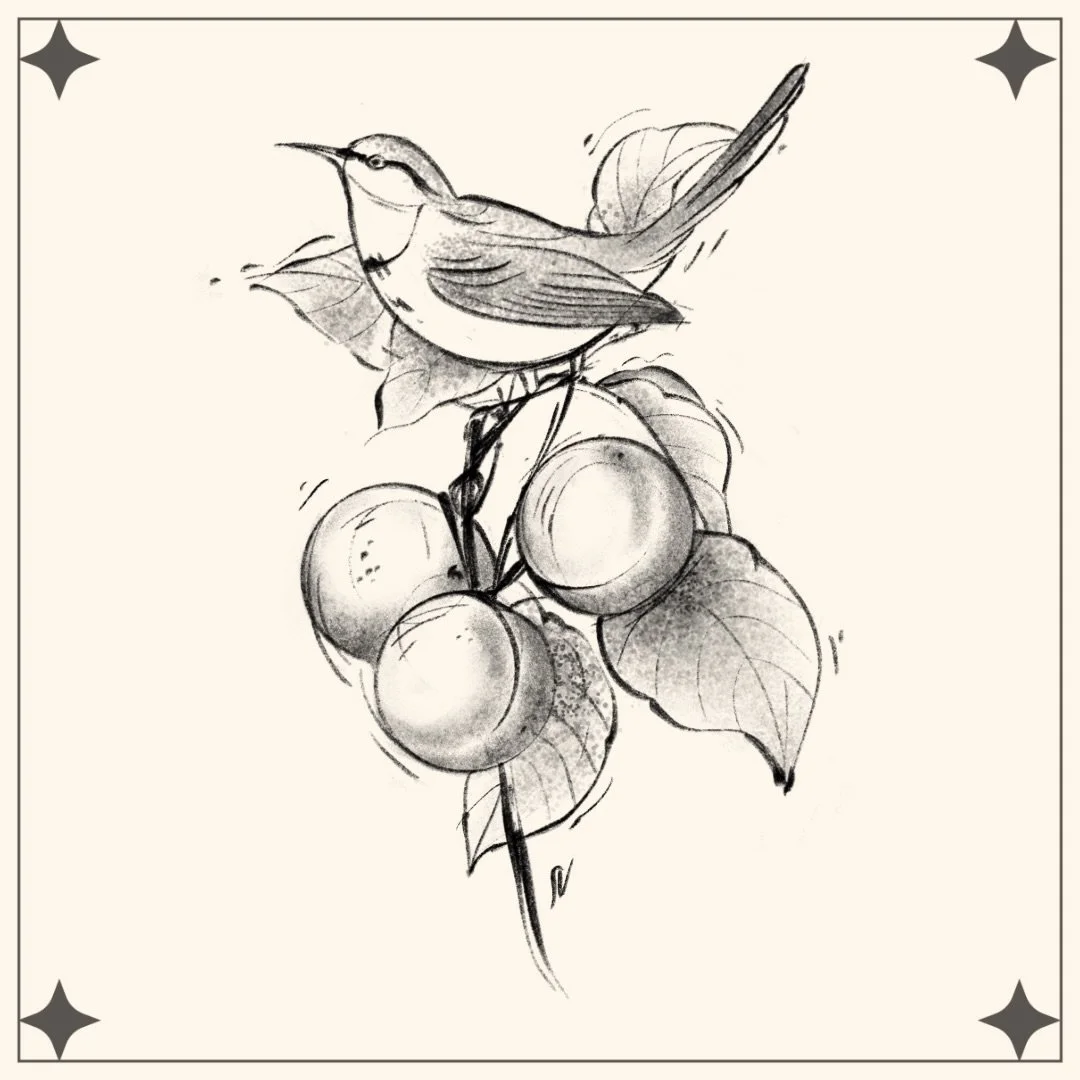 I&rsquo;m excited for the flowers to come back to Canada. Seychelles has graced me with a lot of flowers and fruit so I feel spoiled. 

Dm to book!
Minimum size 6inches 

#floraltattoo #illustrativetattoo #birdtattoo #blackandgreytattoo #tattooartist