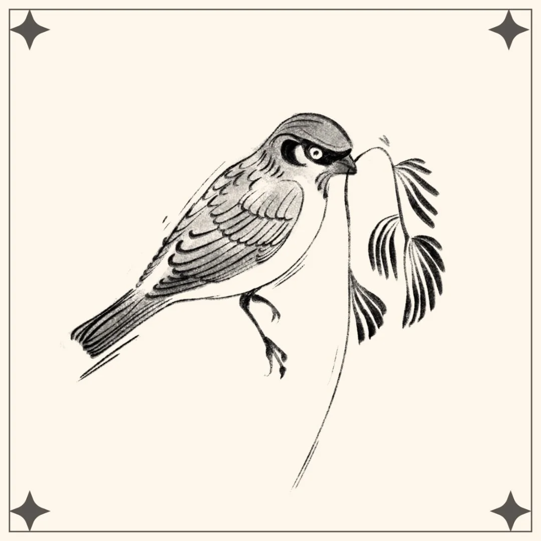 I&rsquo;m in bird mode. Minimum 4 inches across

Dm to book!

#birdtattoo #illustrativetattoo #blackandgreytattoo #tattoo #tattooist