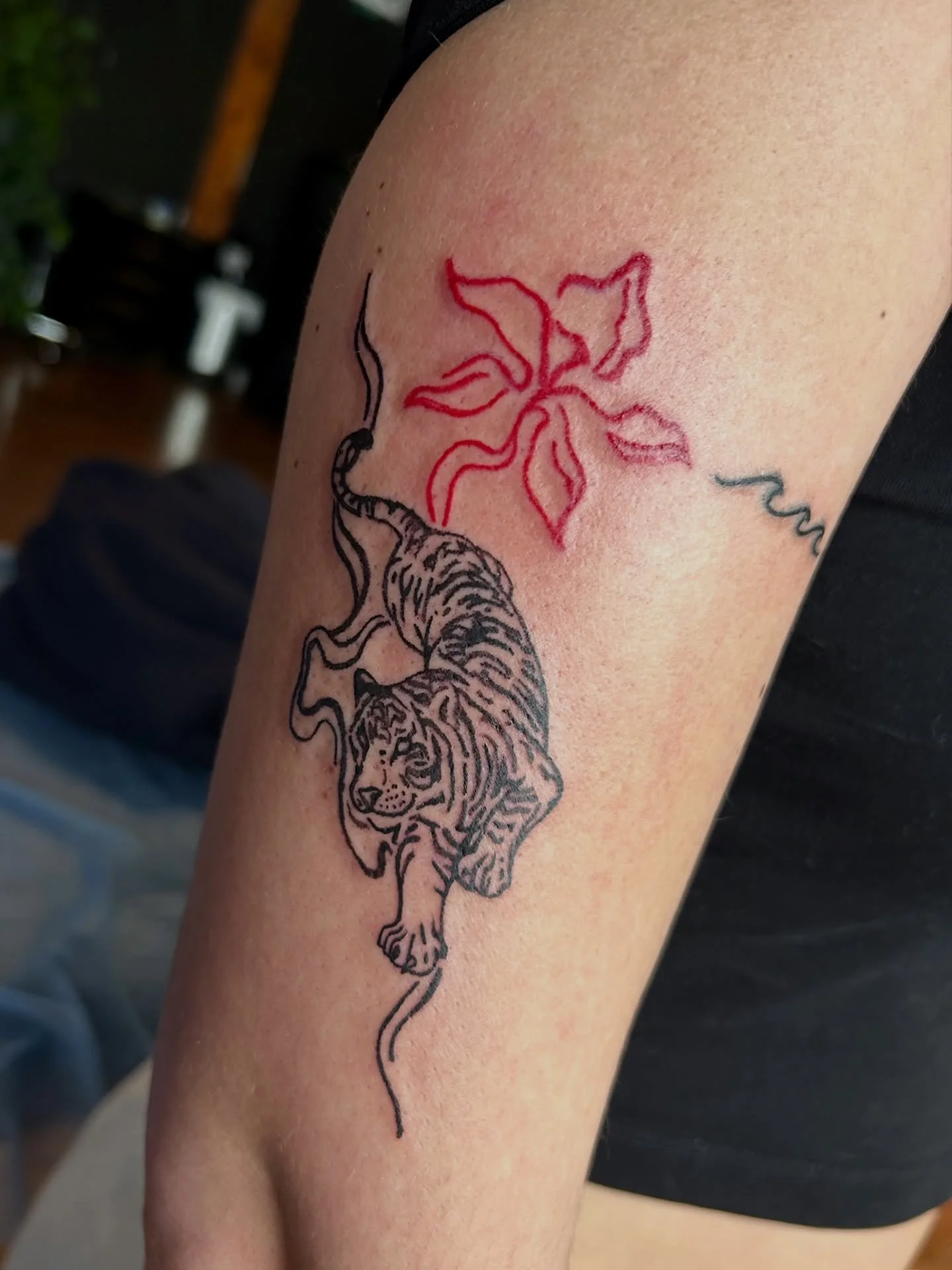 Amazing Tiger Piece by @harveyztattooz 🐅❤️
.
.
.
Artist: @harveyztattooz 
Studio: @obscura.tattoo 
.
.
.
#ottawaartist #ottawatattoo #obscuratattoo #tigertattoos