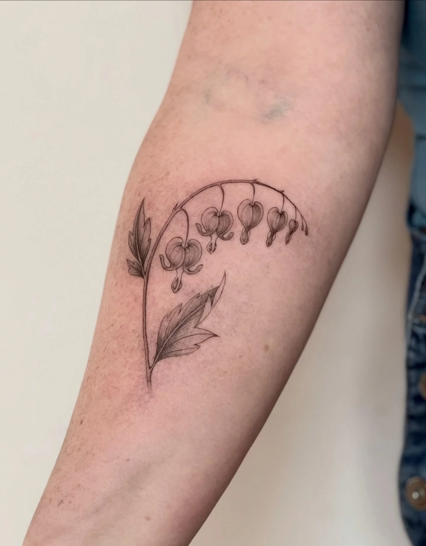 Bleeding Hearts 🩸🖤
.
.
.
Artist: @sablii.tattoo 
Studio: @obscura.tattoo 
.
.
.
#ottawaartist #ottawatattoo #obscuratattoo #flowertattoo #armtattoos