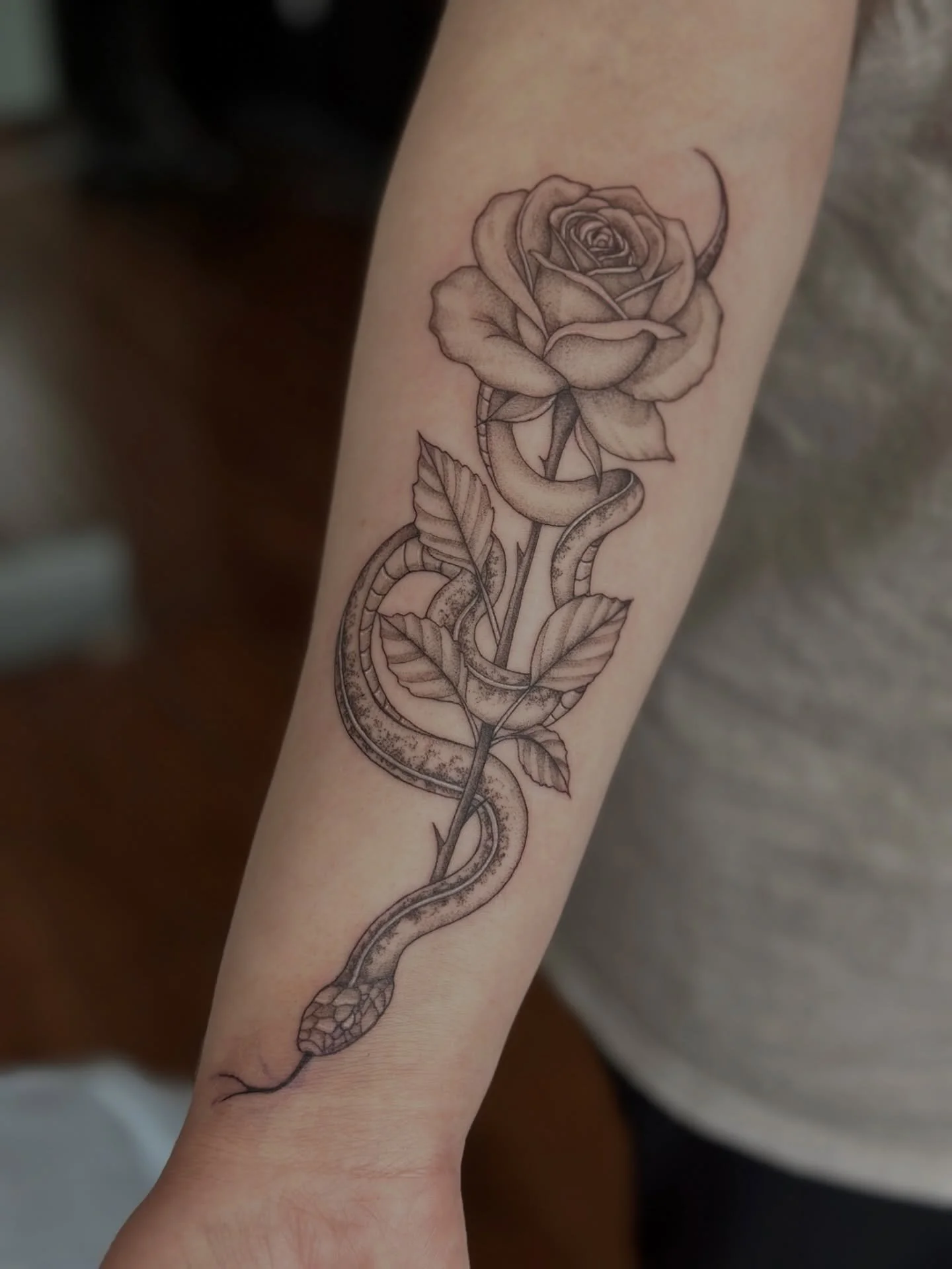 Snake and a Rose 🌹 🐍
.
.
.
Artist: @artbyrobs 
Studio: @obscura.tattoo 
.
.
.
#ottawaartist #ottawatattoo #obscuratattoo #snaketattoos #rosetattoo