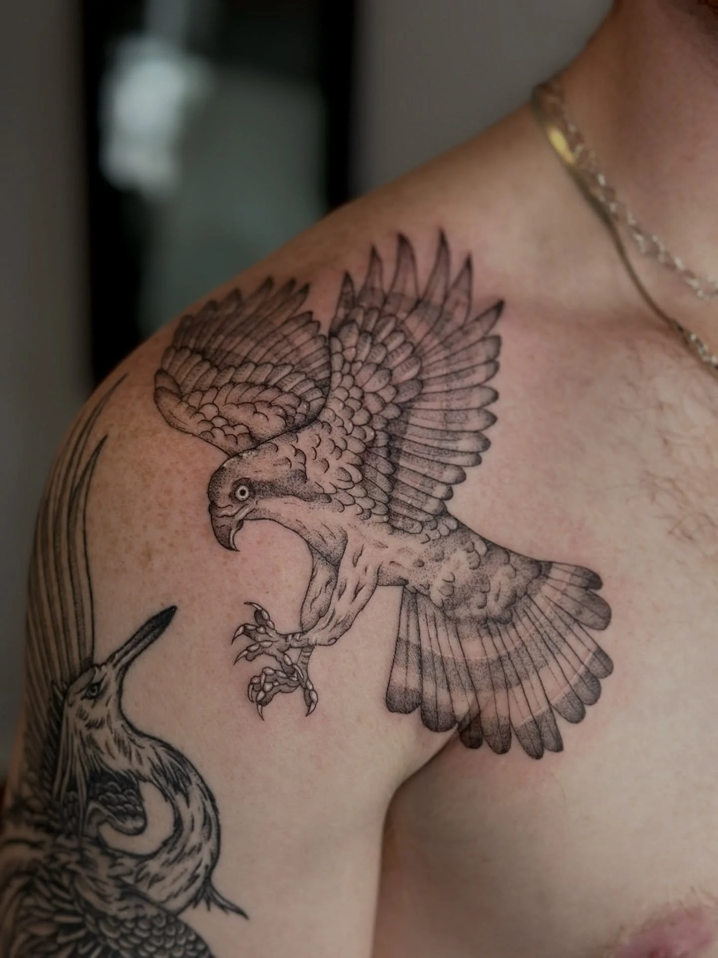 Awesome bird tattoo done by @artbyrobs 🦅
.
.
.
Artist: @artbyrobs 
Studio: @obscura.tattoo 
.
.
.
#ottawaartist #ottawatattoo #obscuratattoo #birdtattoos #shouldertattoo