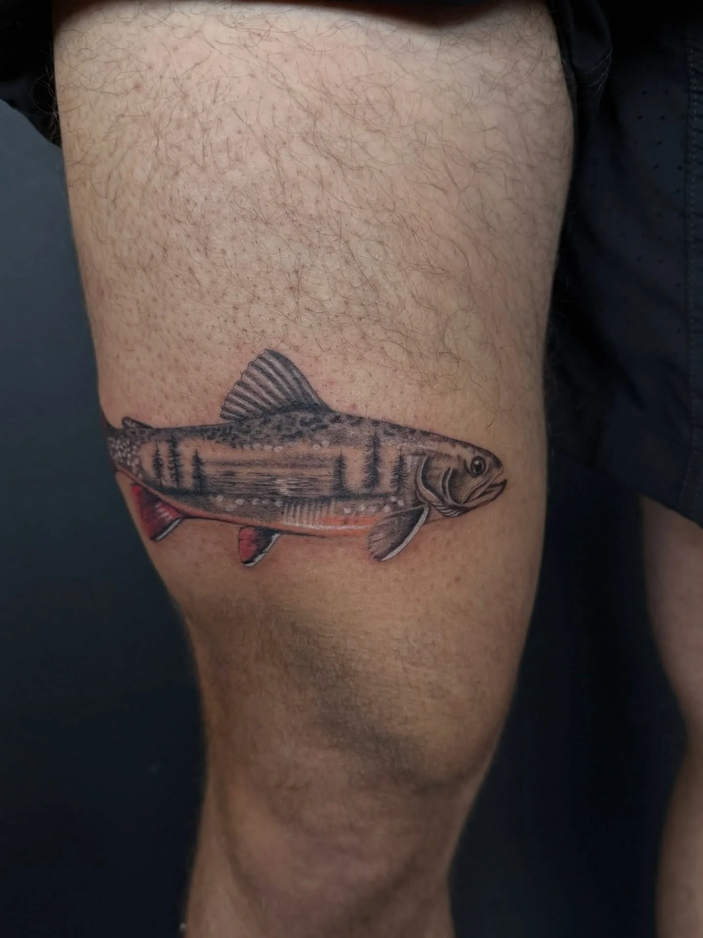 Exciting Trout piece by @darienwrona.tattoo 🎣
.
.
.
Artist: @darienwrona.tattoo 
Studio: @obscura.tattoo 
.
.
.
#ottawatattoo #ottawaartist #obscuratattoo #trouttattoo #fishtattoo