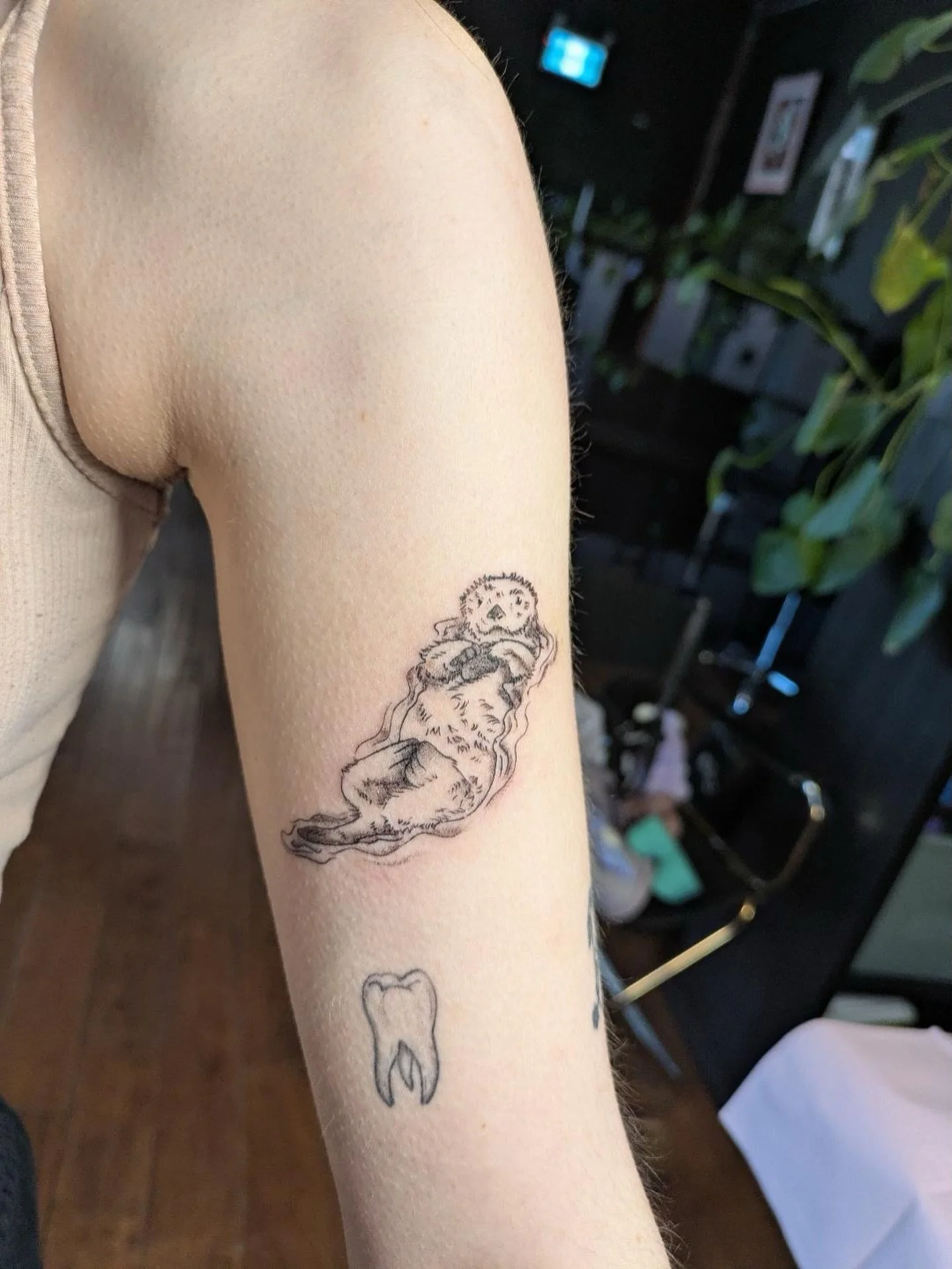 The cutest little otter 🦦 
.
.
.
Artist: @reservoir.tattoo 
Studio: @obscura.tattoo 
.
.
.
#ottawaartist #ottawatattoo #obscuratattoo #ottertattoo #animaltattoo