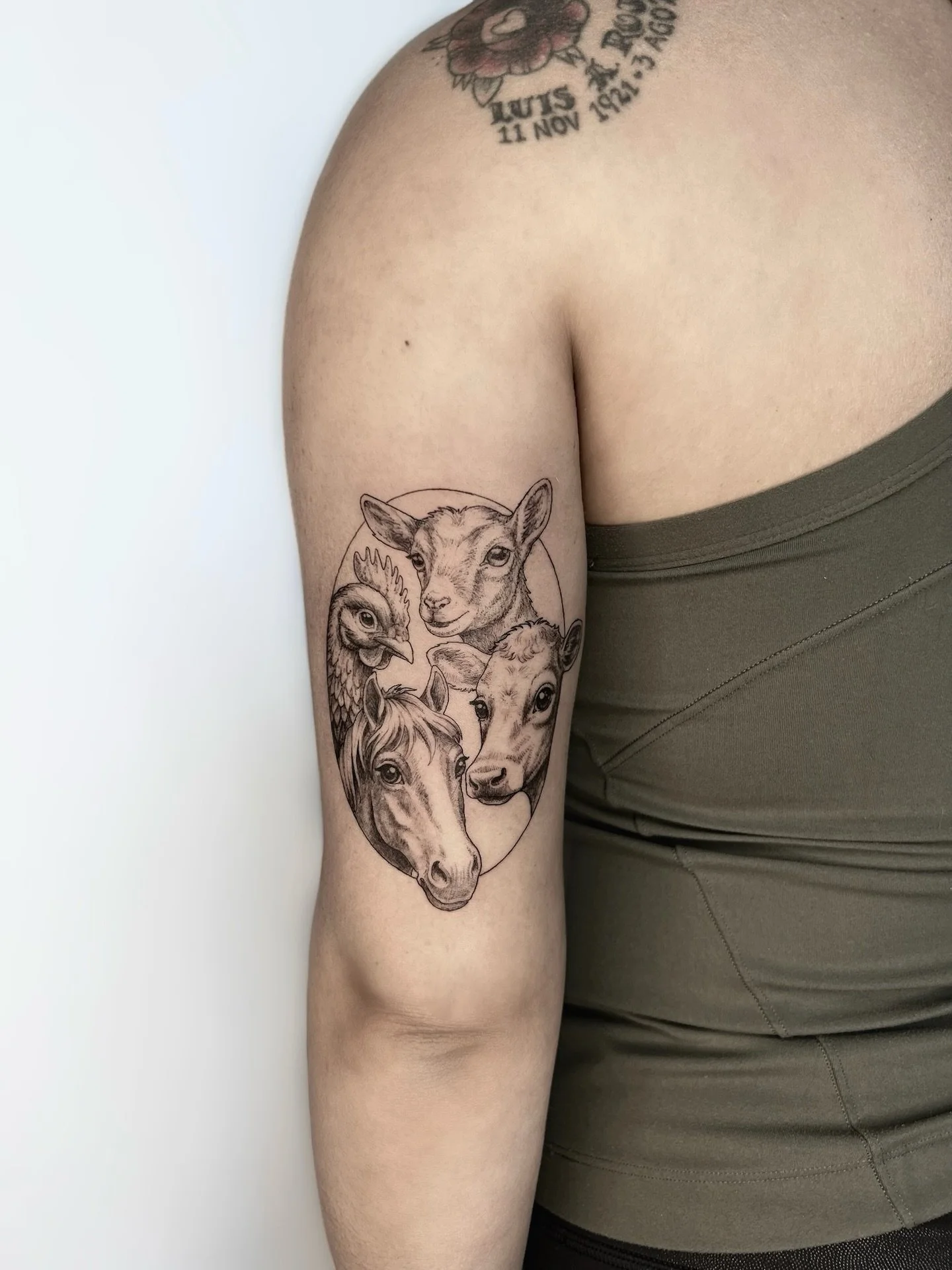 Farm Animals by @airo.tattoo 🐮🐴🐔🐐
.
.
.
Artist: @airo.tattoo 
Studio: @obscura.tattoo 
.
.
.
#ottawaartist #ottawatattoo #obscuratattoo #animaltattoo #armtattoo