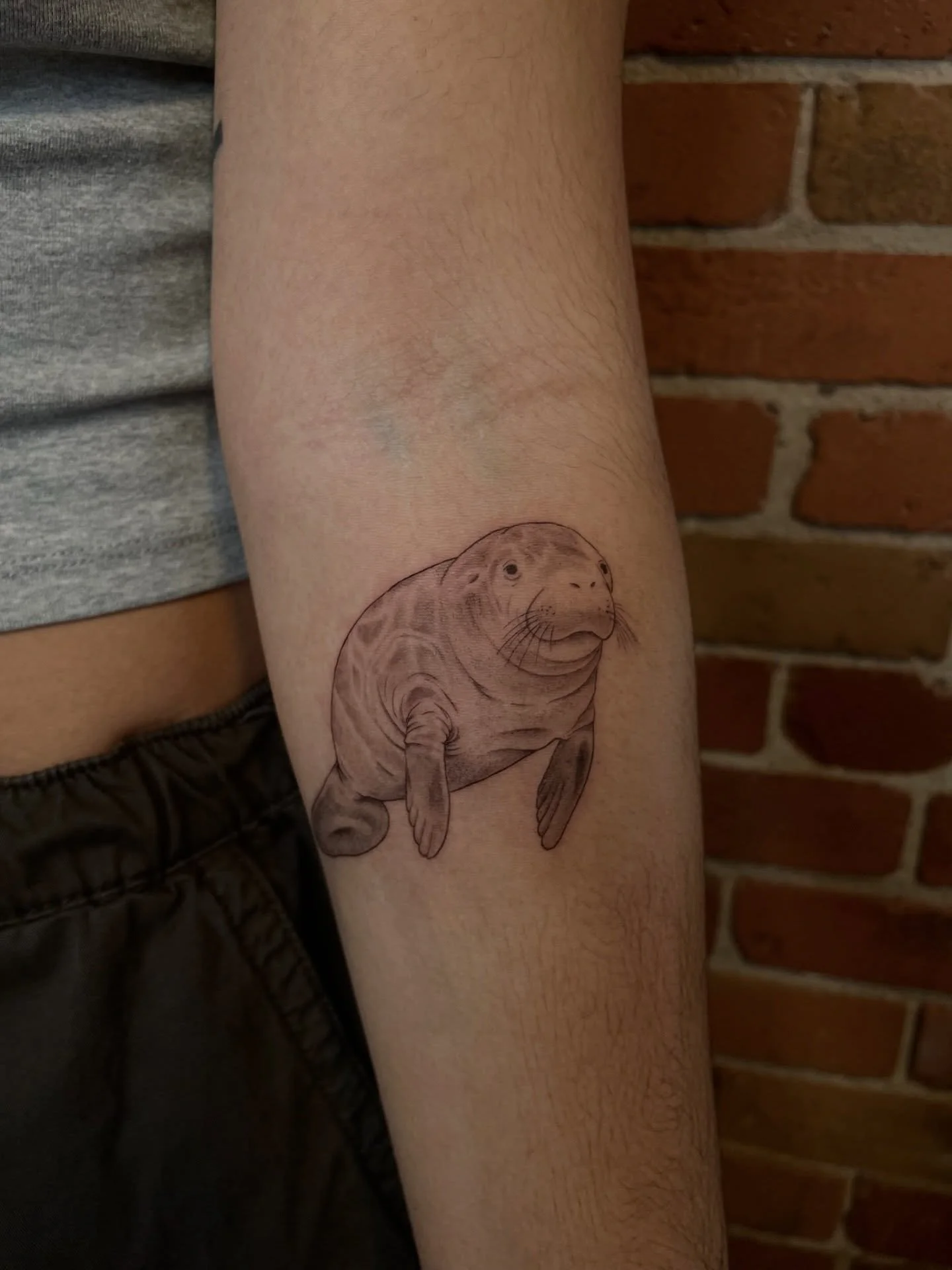 The Coolest Manatee 🌊
.
.
.
Artist: @tattoosbyabbeysmith 
Studio: @obscura.tattoo 
.
.
.
#ottawatattoo #ottawaartist #obscuratattoo #illustrativetattoo #finelinetattoo