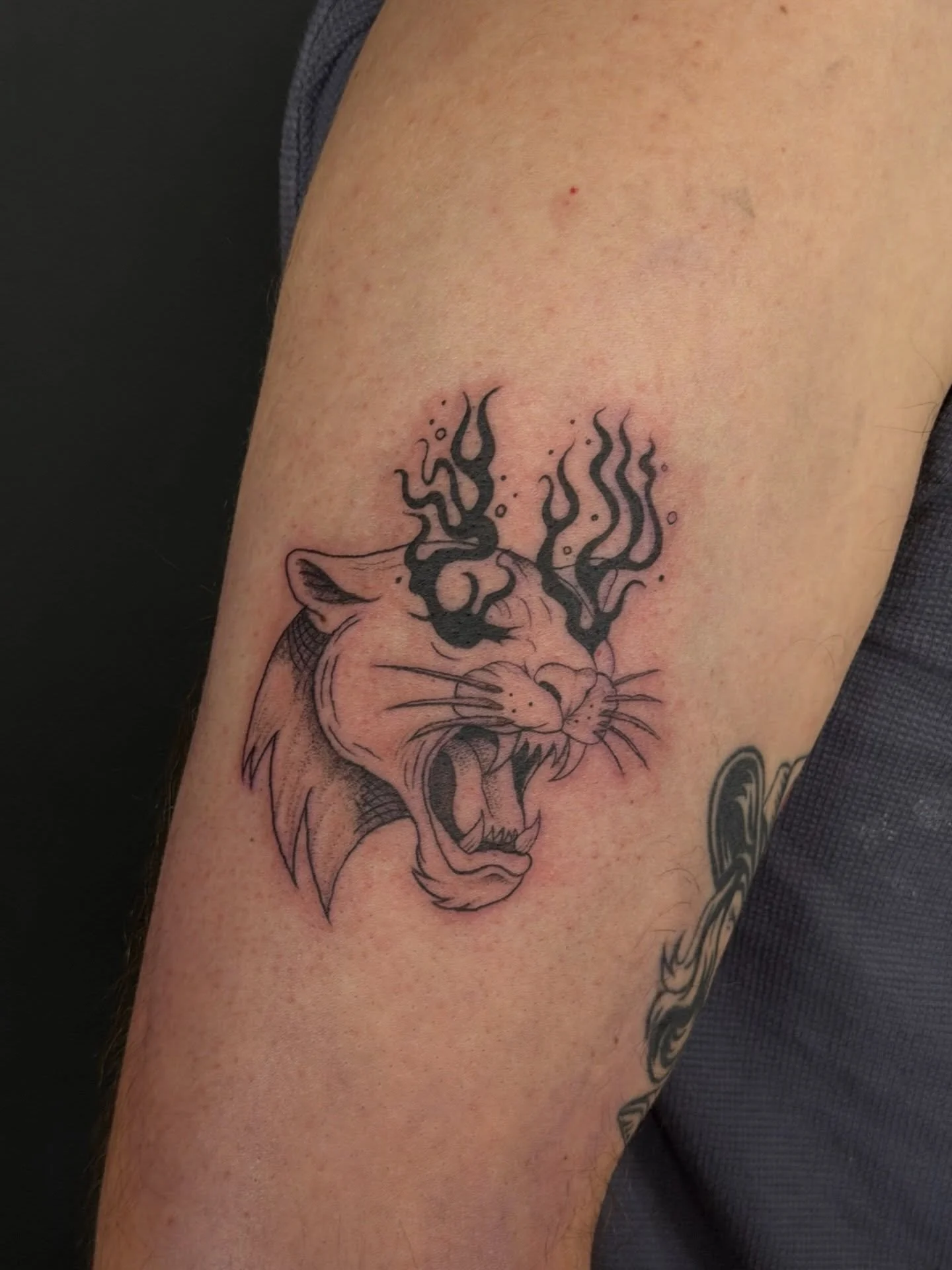 Panther Tattoo by @darienwrona.tattoo 🐆🔥
.
.
.
Artist: @darienwrona.tattoo 
Studio: @obscura.tattoo 
.
.
.
#ottawaartist #ottawatattoo #obscuratattoo #lineworktattoo #panthertattoo