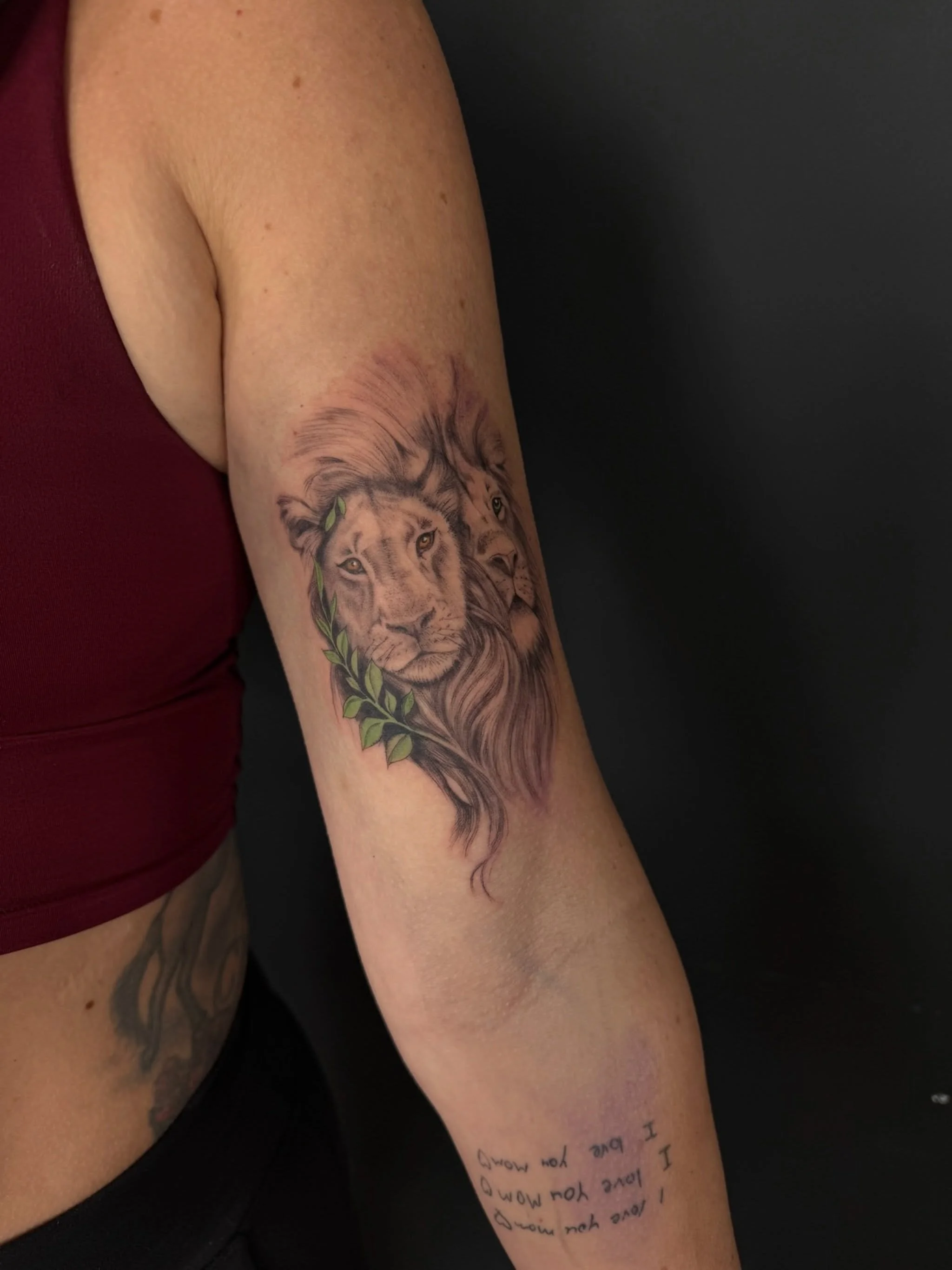 Lion piece by @darienwrona.tattoo 🦁
.
.
.
Artist: @darienwrona.tattoo
Studio: @obscura.tattoo 
.
.
.
#ottawatattoo #ottawaartist #obscuratattoo #finelinetattoo #liontattoo