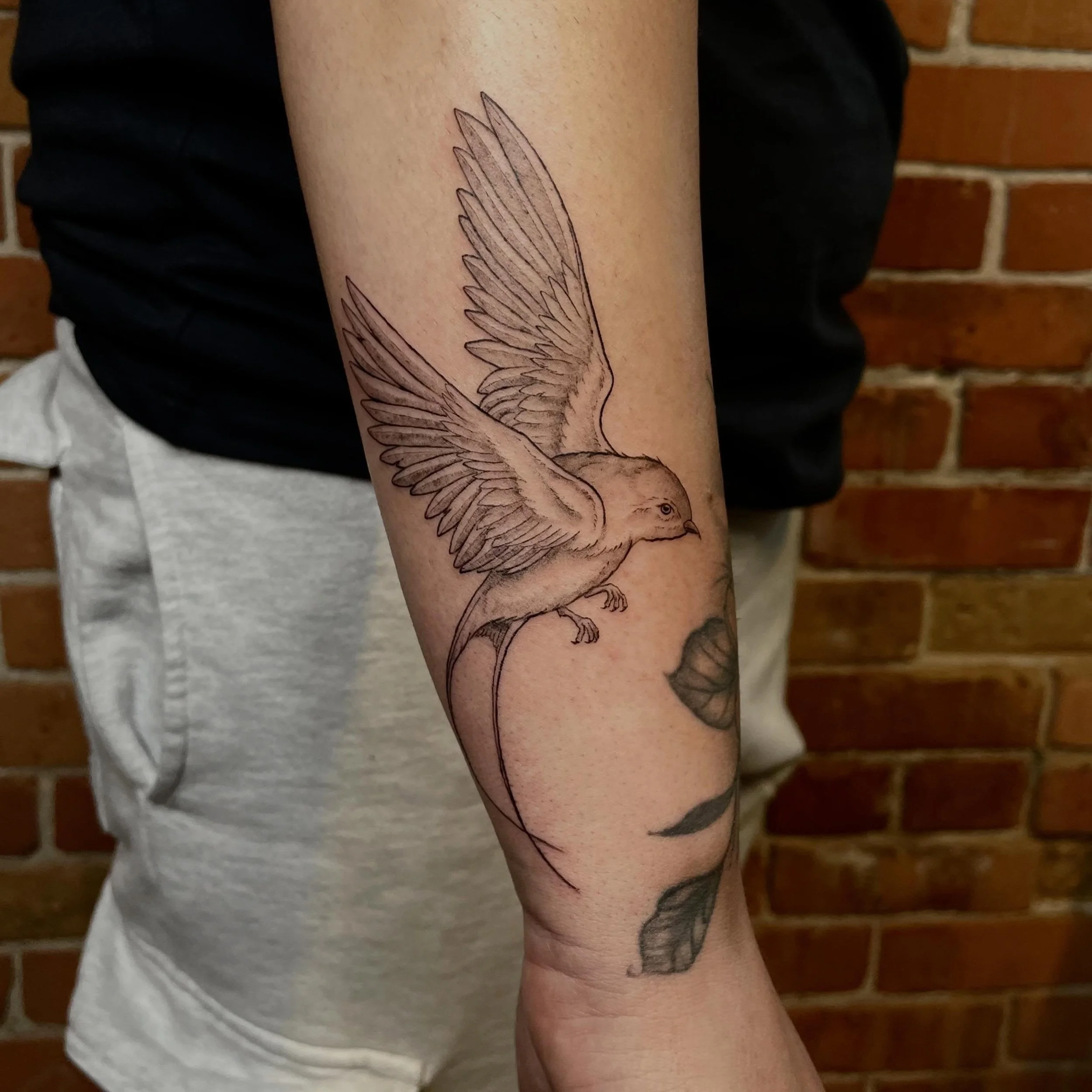 Here&rsquo;s an old birdie from a walk in I got to do! Thank you so much, ya&rsquo;ll know I love birds! 🕊️🦅🦆🦜

#illustrativetattoo #birdtattoo #sparrowtattoo #ottawatattoo #blackandgreytattoo