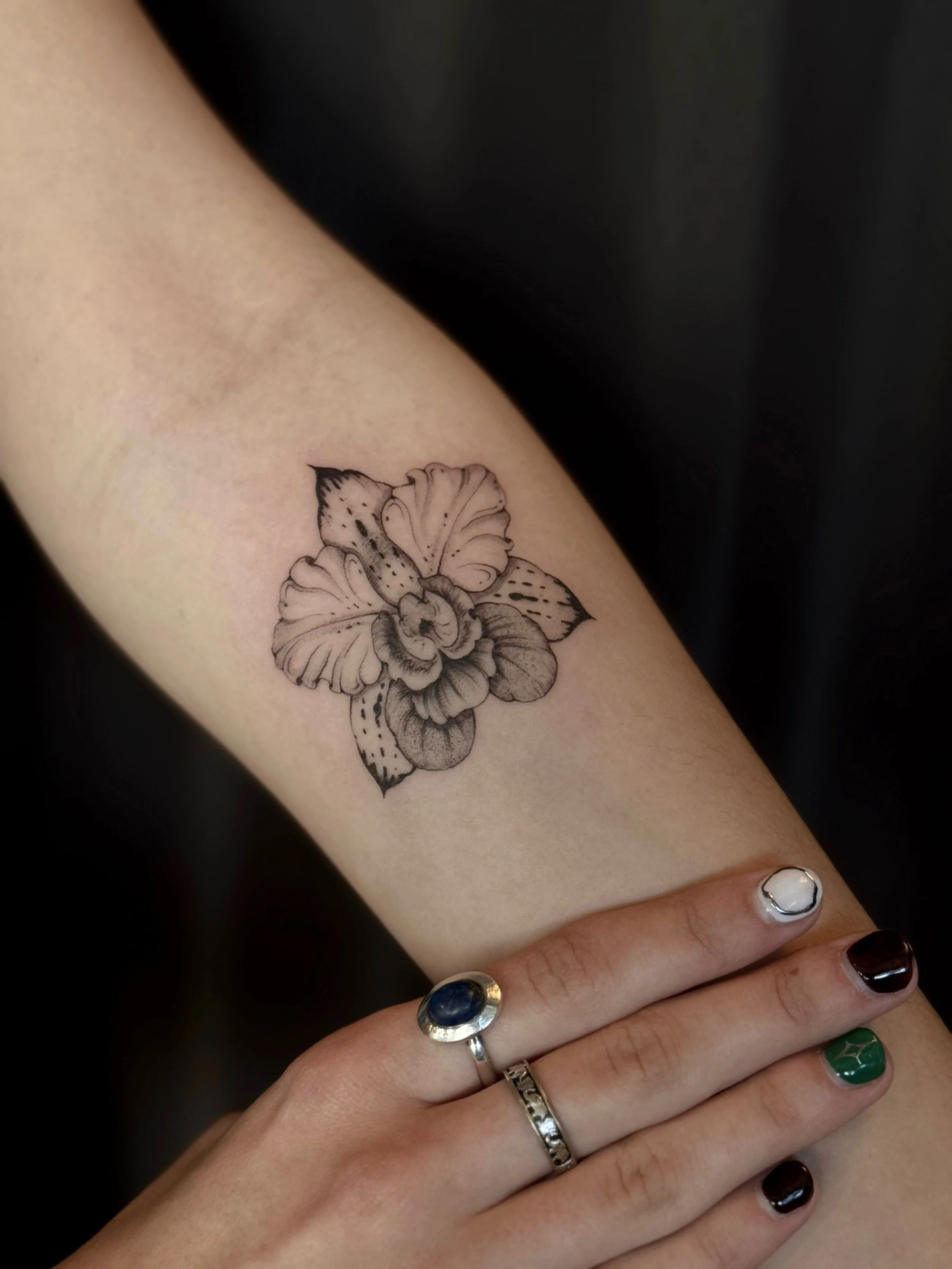 Orchid for Tamara ✨
~
Tamara was looking to do an orchid flower tattoo, but one that catches the whimsical and creature-like spirit that some orchids carry. When designing this piece, I saw just how many different colours and patterns orchids can hav