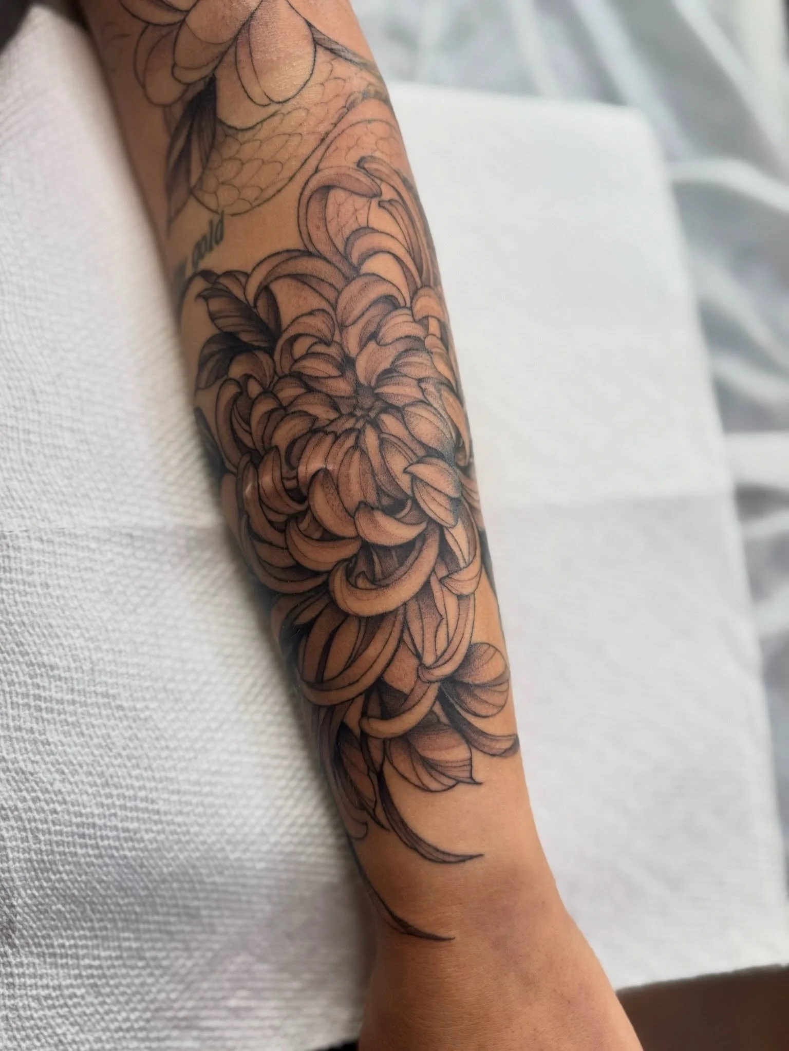 Amazing Floral Forearm Piece by @mariah.landers 🌷🖤
.
.
.
Artist: @mariah.landers 
Studio: @obscura.tattoo 
.
.
.
#ottawatattoo #ottawaartist #obscuratattoo #floraltattoo #blackwork