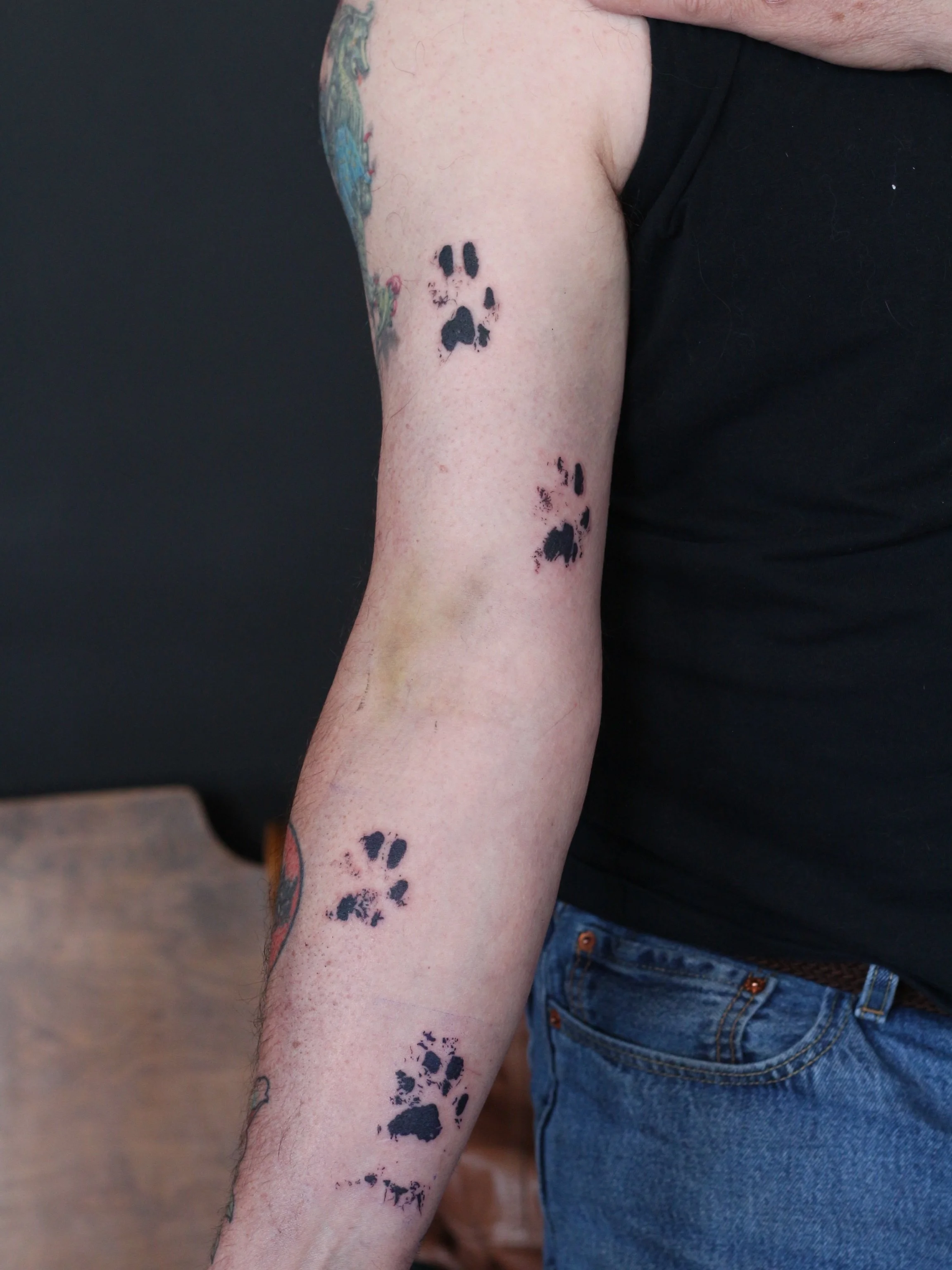 A memorial piece for a big kitty!
Thank you for trusting me with this piece

Done at @obscura.tattoo 
Supplied by @anarchy_tattoo_supplies 

#pawprinttattoo #tattoo #memorialtattoo #ottawatattooartist #illustrativetattoos