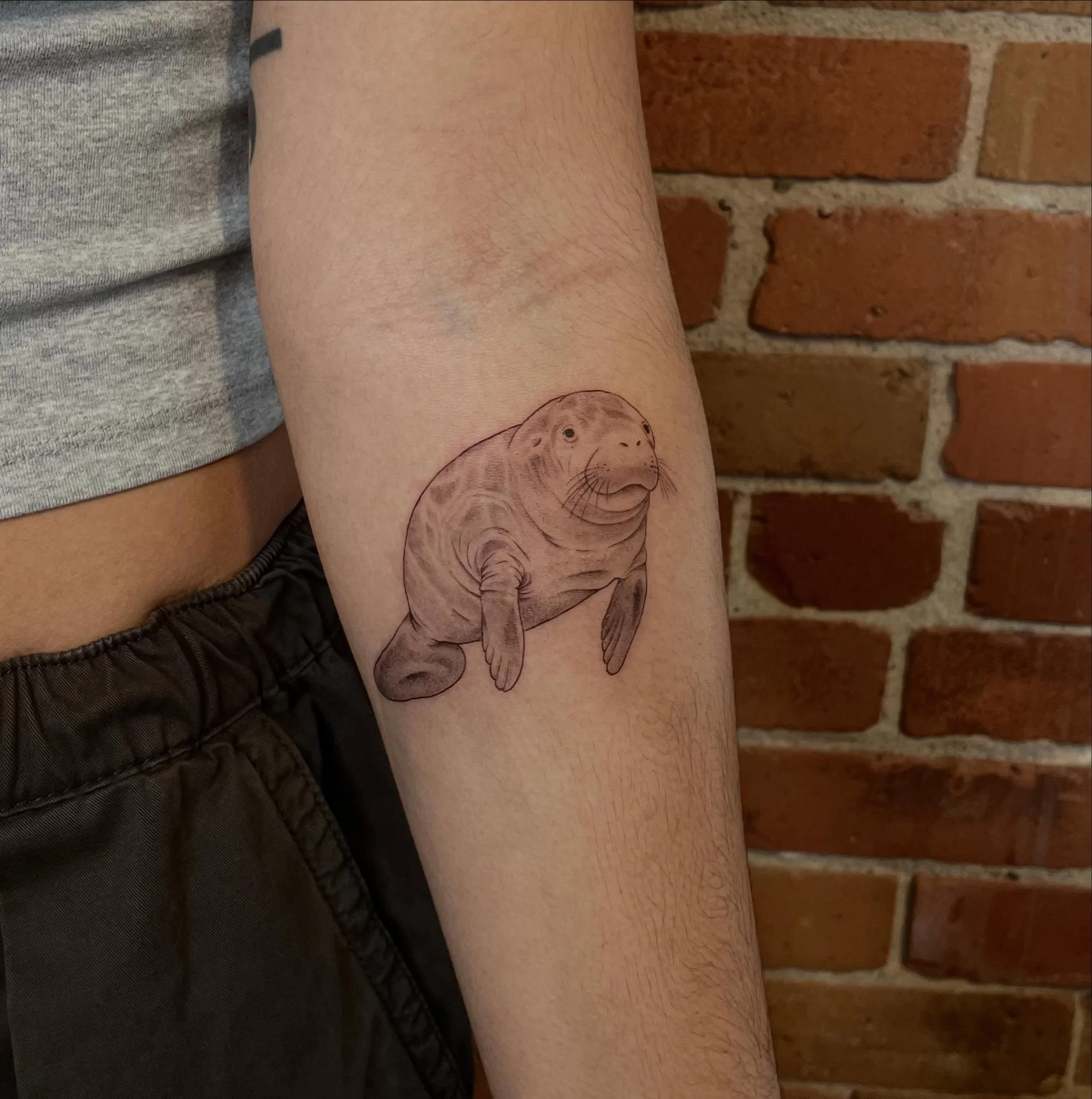 One of my favourite lil animals ive done so far!! Thank you🤗🤗

#manateetattoo #blackandgreytattoo #ıllustrativetattoo #ottawatattoo #animaltattoo