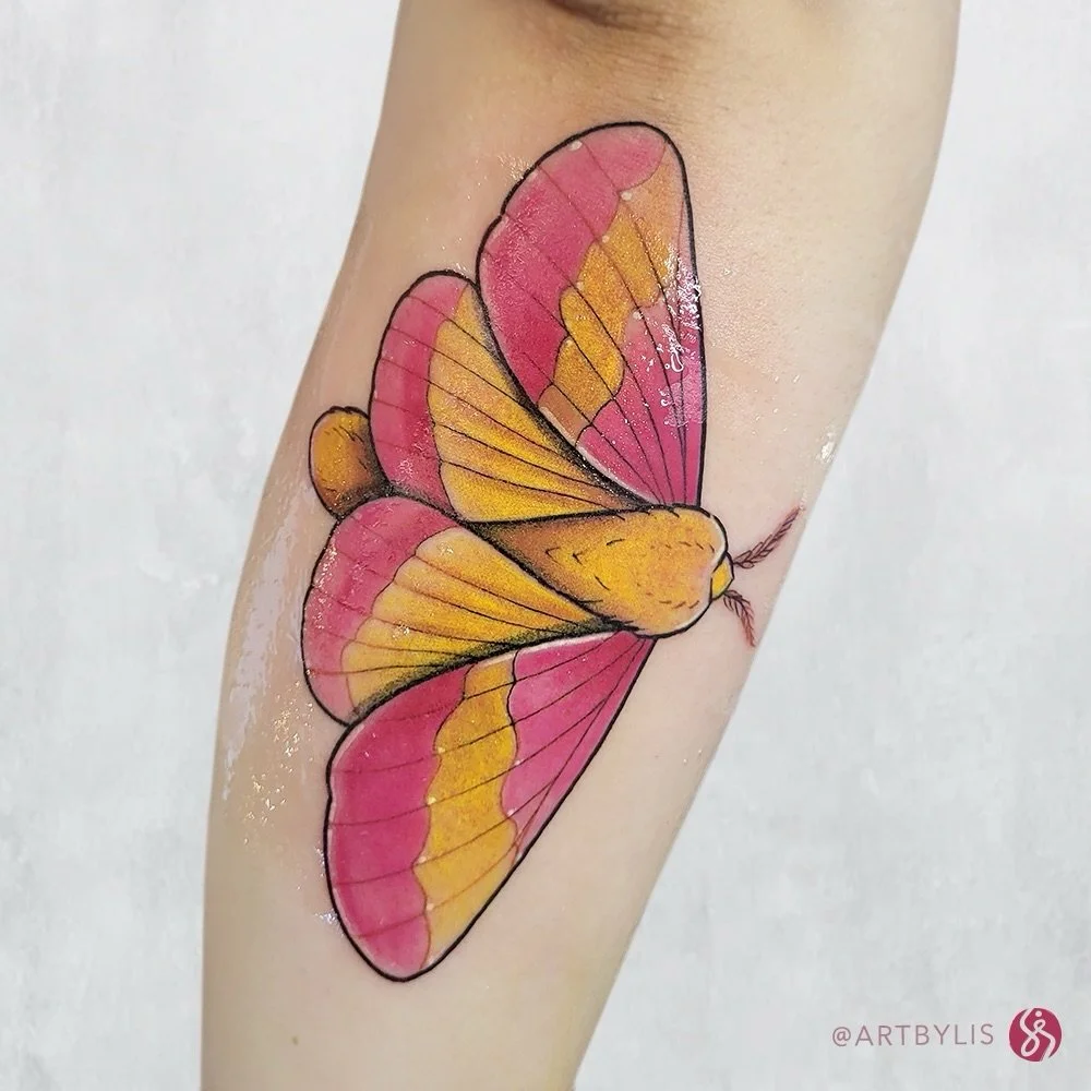 Rosy Maple Moth by @artbylis 💛
.
.
.
Artist: @artbylis 
Studio: @obscura.tattoo 
.
.
.
#ottawatattoo #ottawaartist #obscuratattoo #colortattoo #mothtattoo