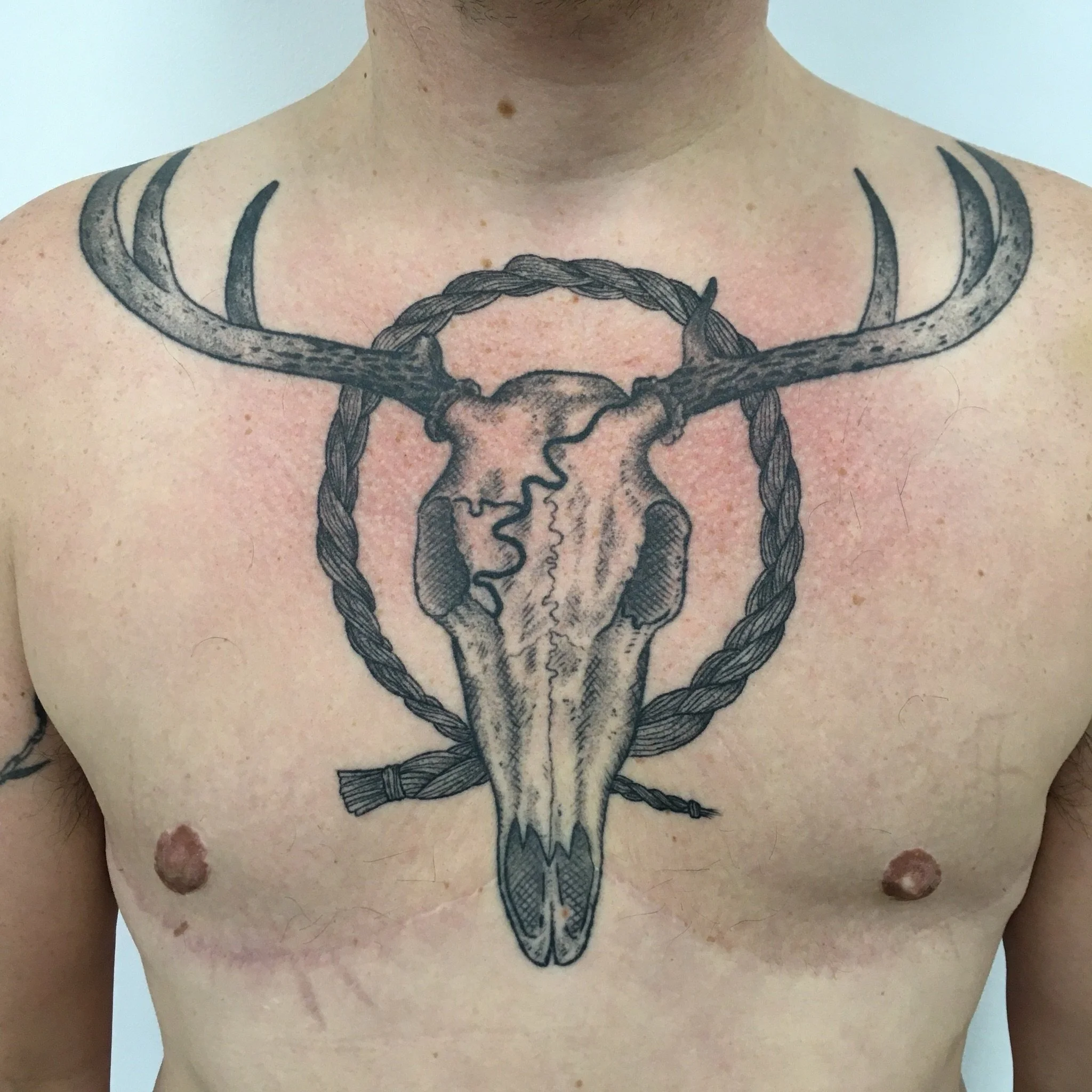 Deer Skull chest piece by @yannyannnnn 💀🦌
.
.
.
Artist: @yannyannnnn 
Studio: @obscura.tattoo 
.
.
.
#ottawatattoo #ottawaartist #obscuratattoo #linework #deerskulltattoo