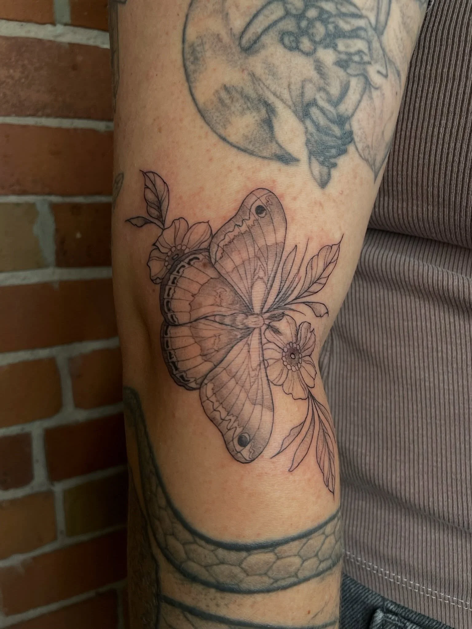 Moth Flash Piece by @tattoosbyabbeysmith 🦋💐
.
.
.
Artist: @tattoosbyabbeysmith 
Studio: @obscura.tattoo 
.
.
.
#ottawatattoo #ottawaartist #obscuratattoo #finelinetattoo #mothtattoo